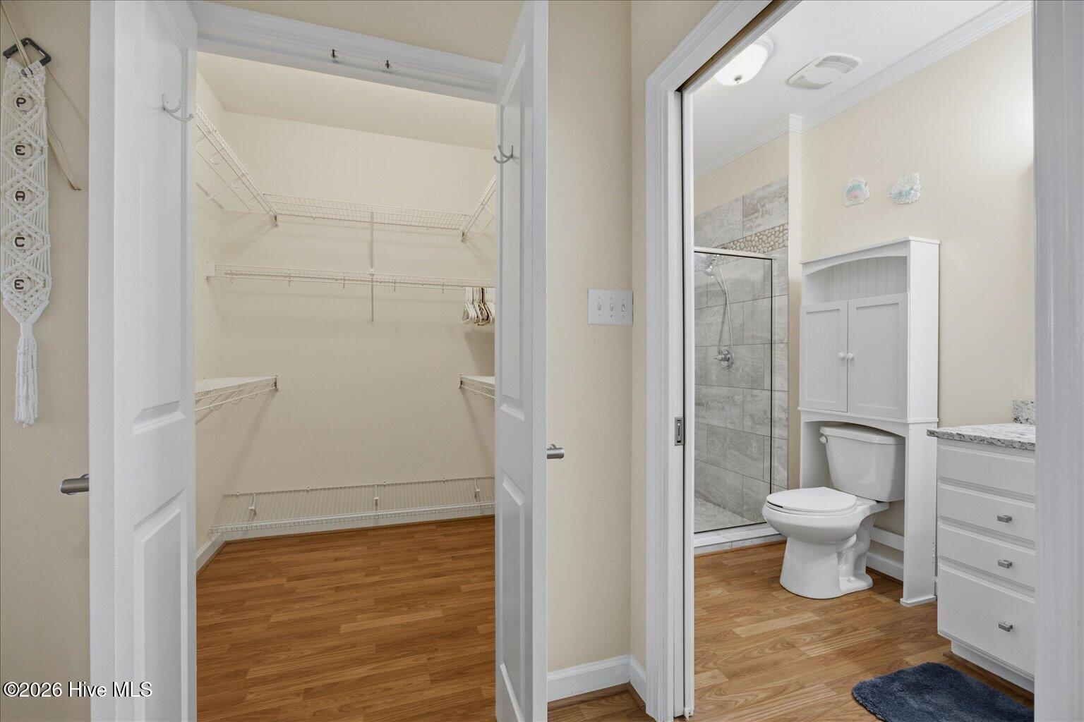 100558706 | Photo 21