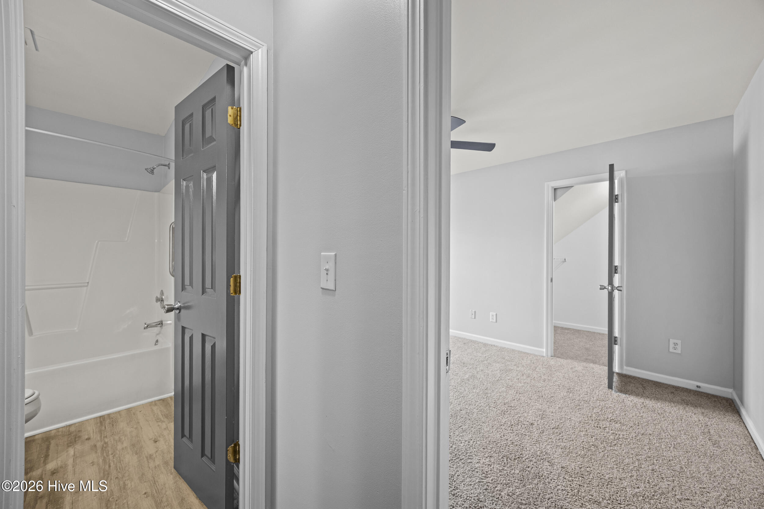 100561010 | Photo 21