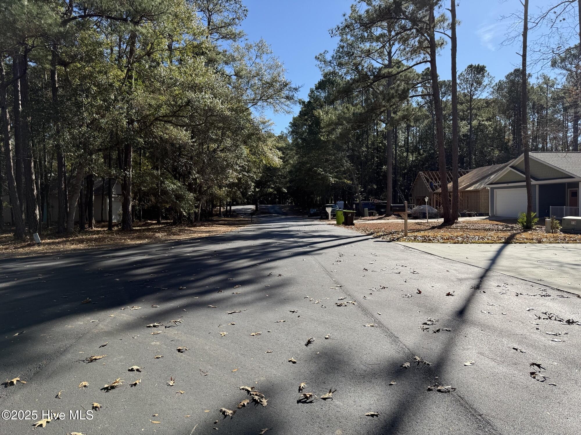 100546406 | Photo 15