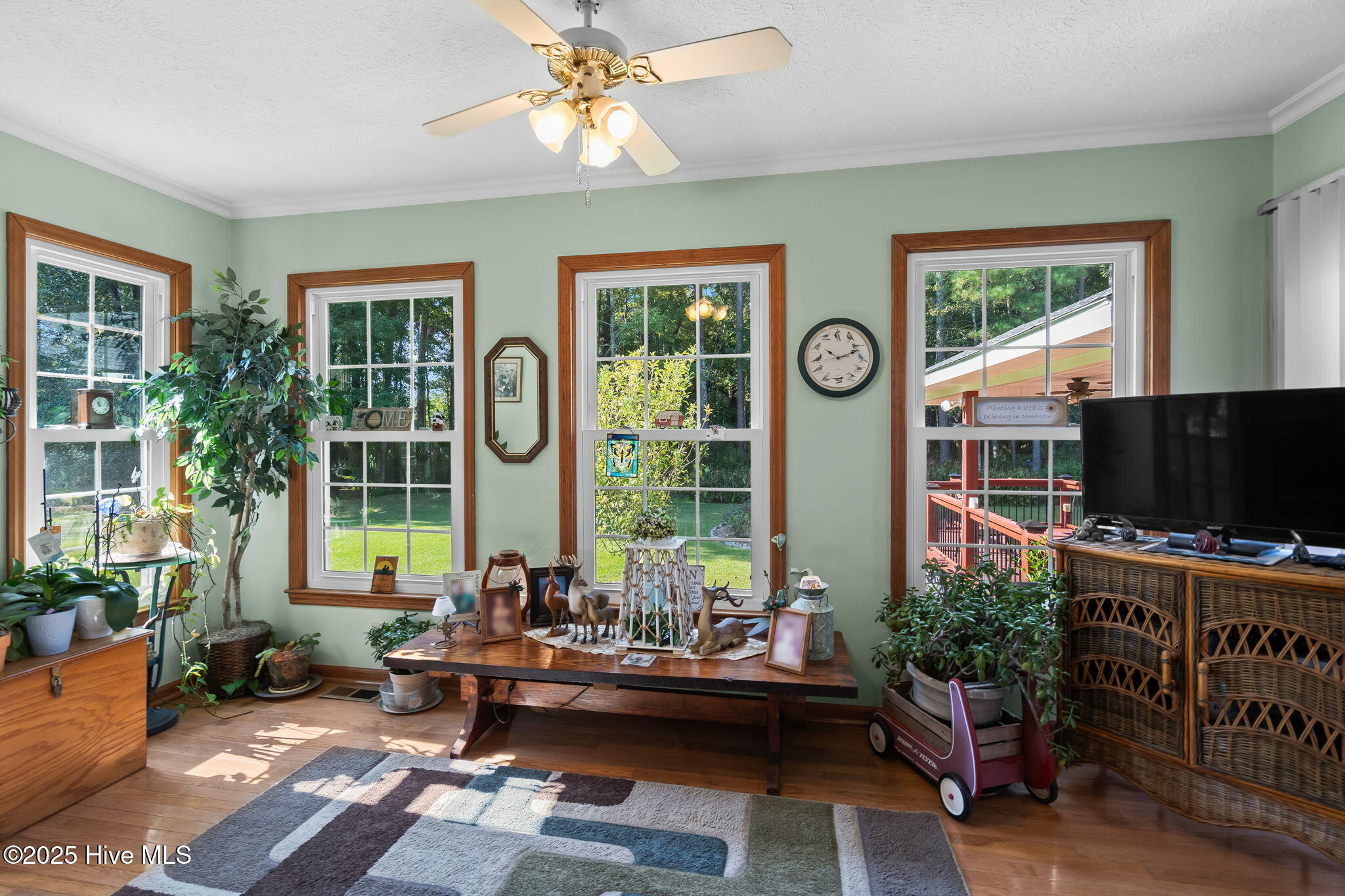 100532446 | Photo 24