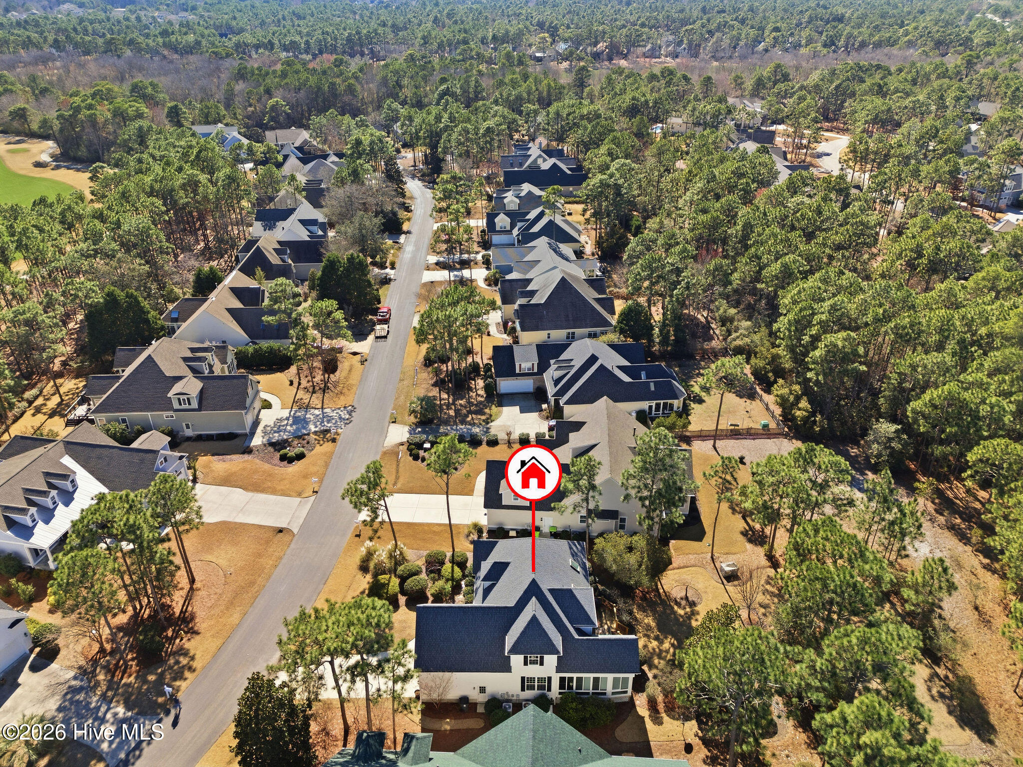 100558304 | Photo 64