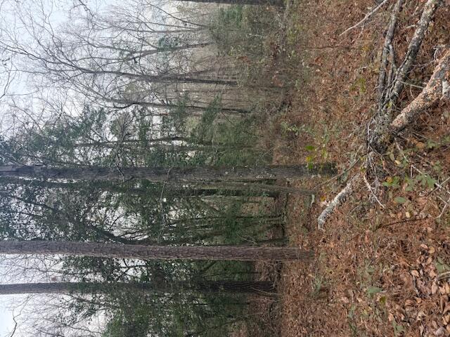Listing Photo 98254516