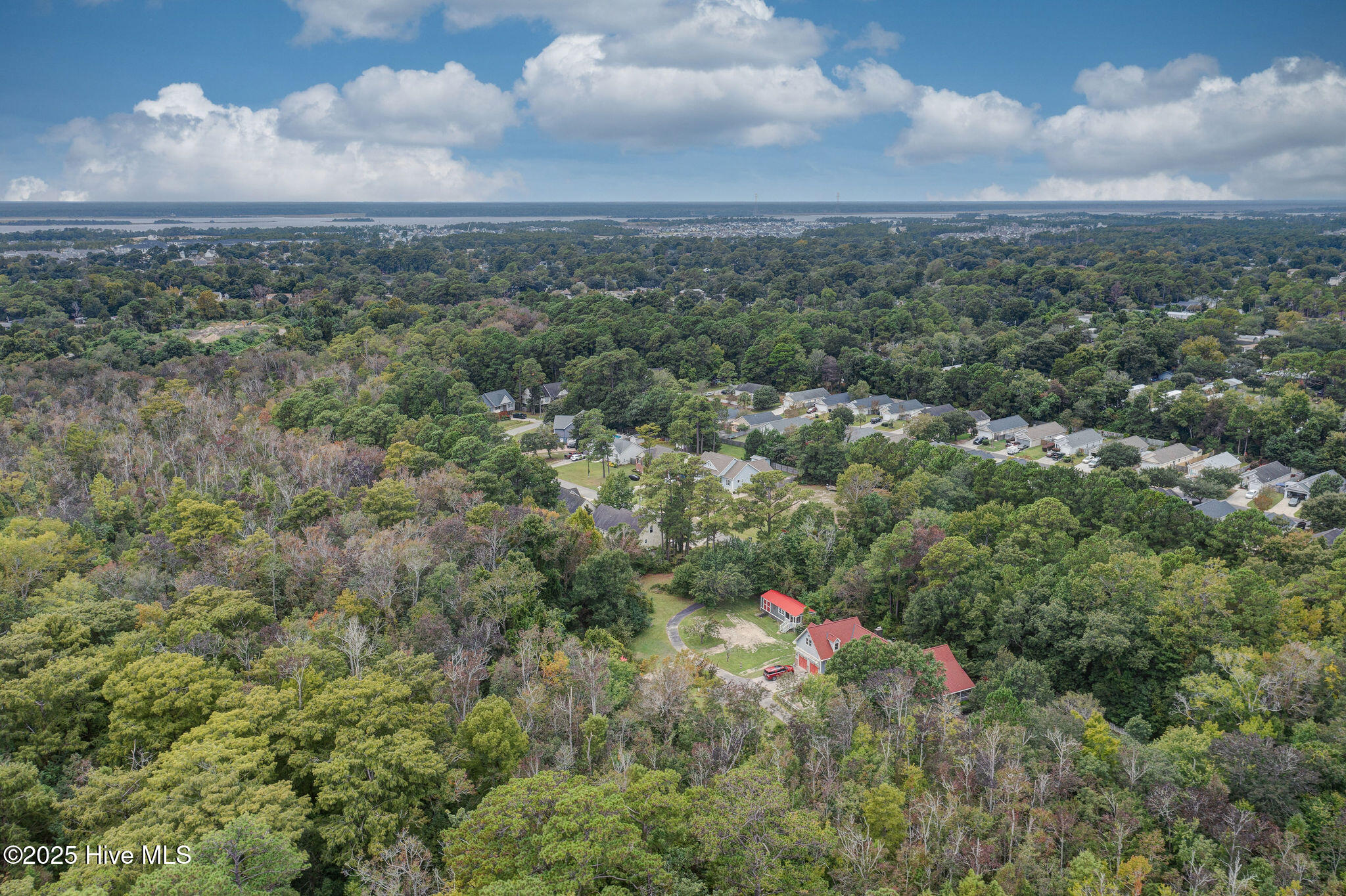 100553041 | Photo 42