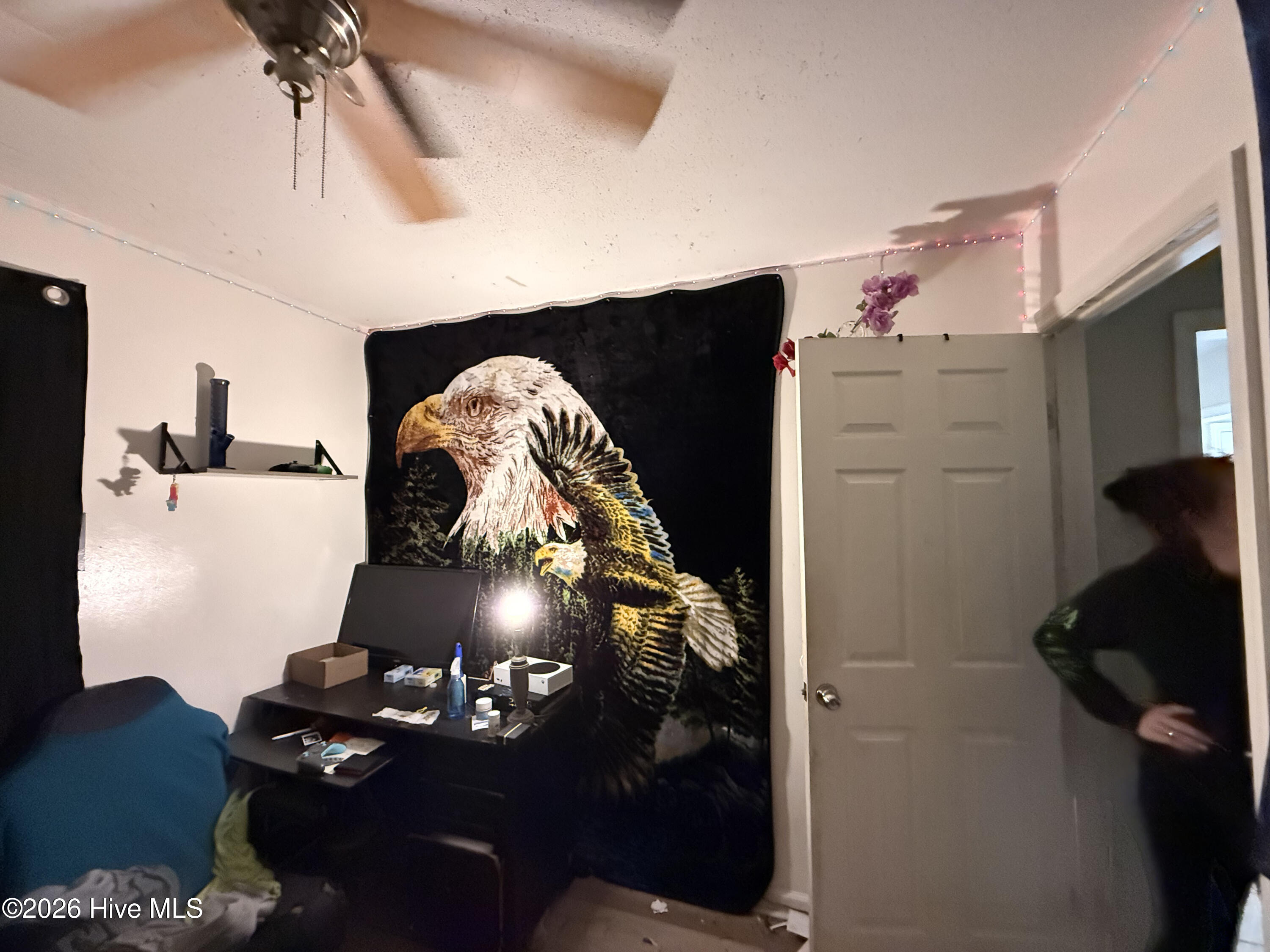 100562239 | Photo 25