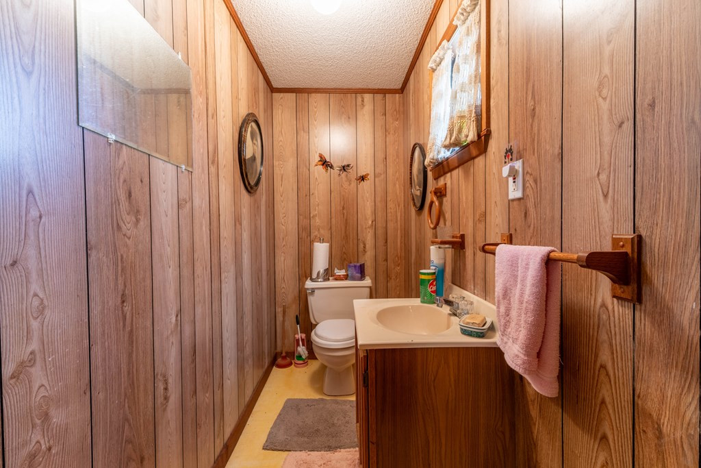 300 Sandy Gap Road, Murphy, NC 28906 Listing Photo  46