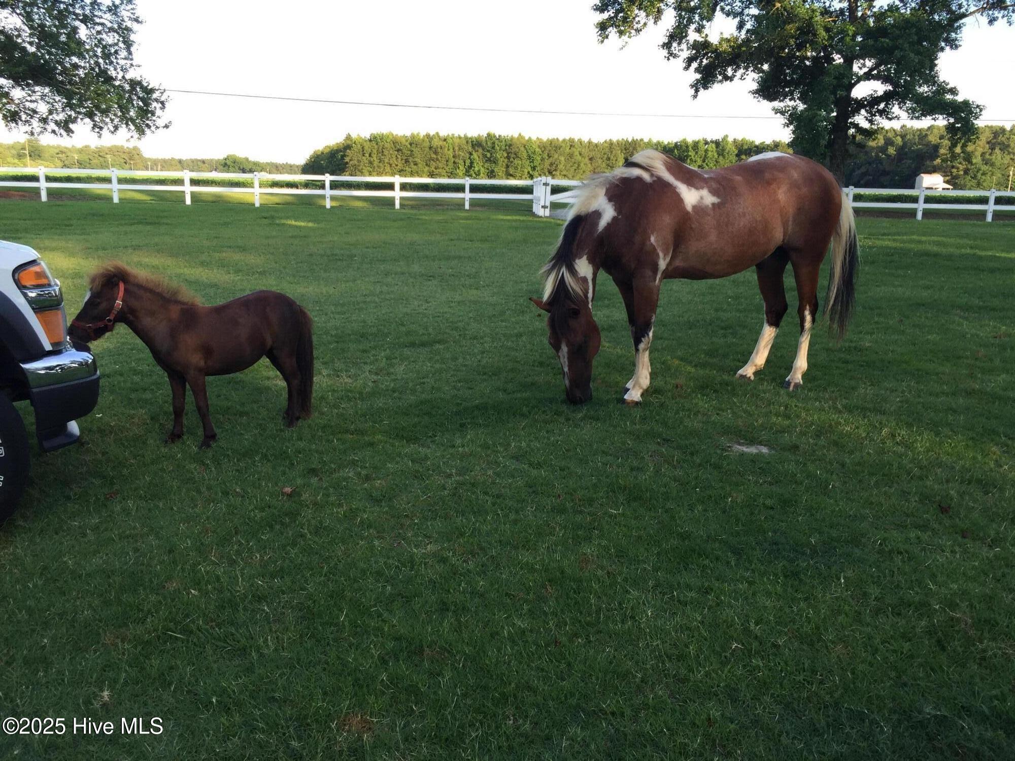 100554772 | Photo 83