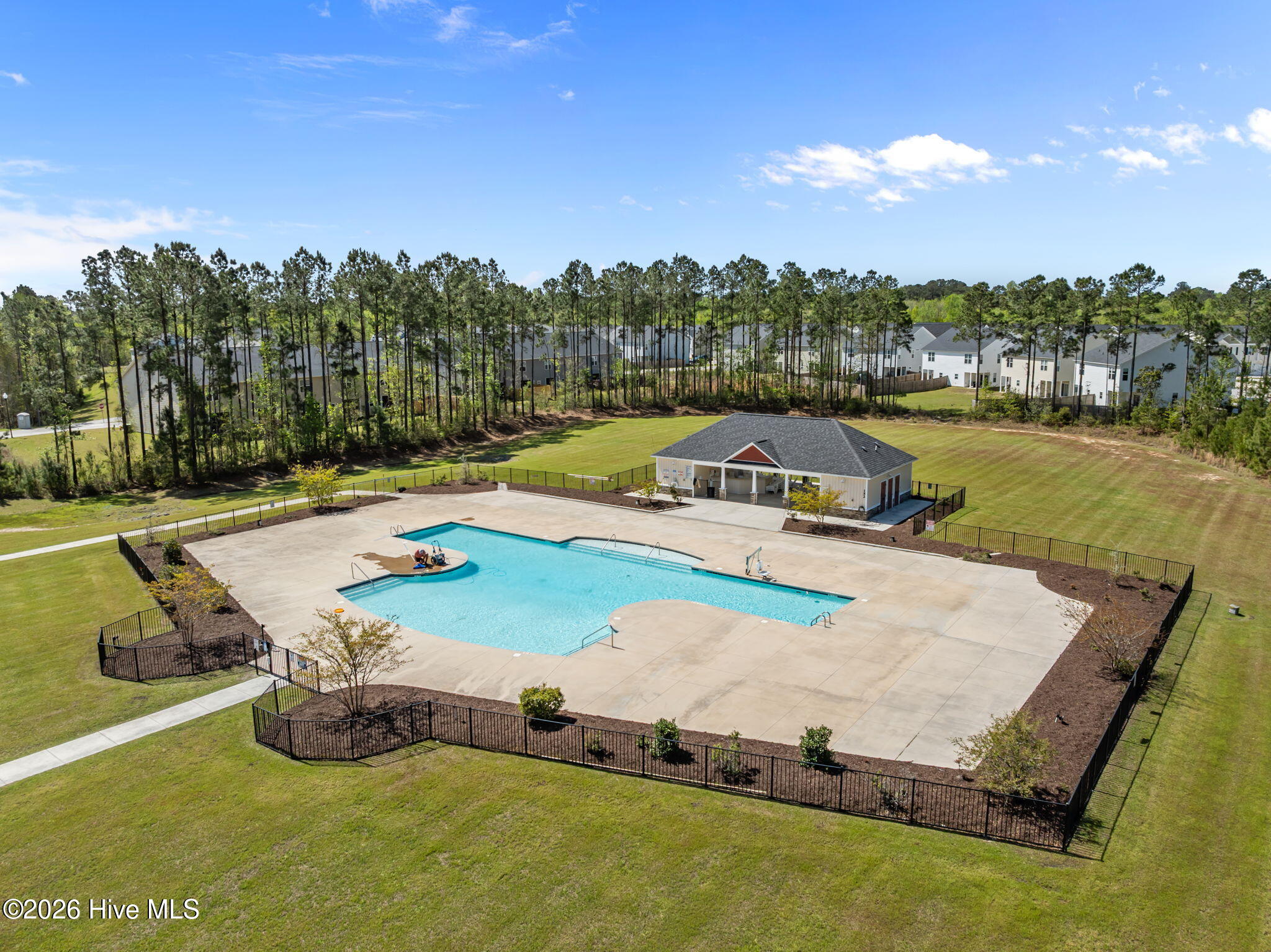 100566991 | Photo 49