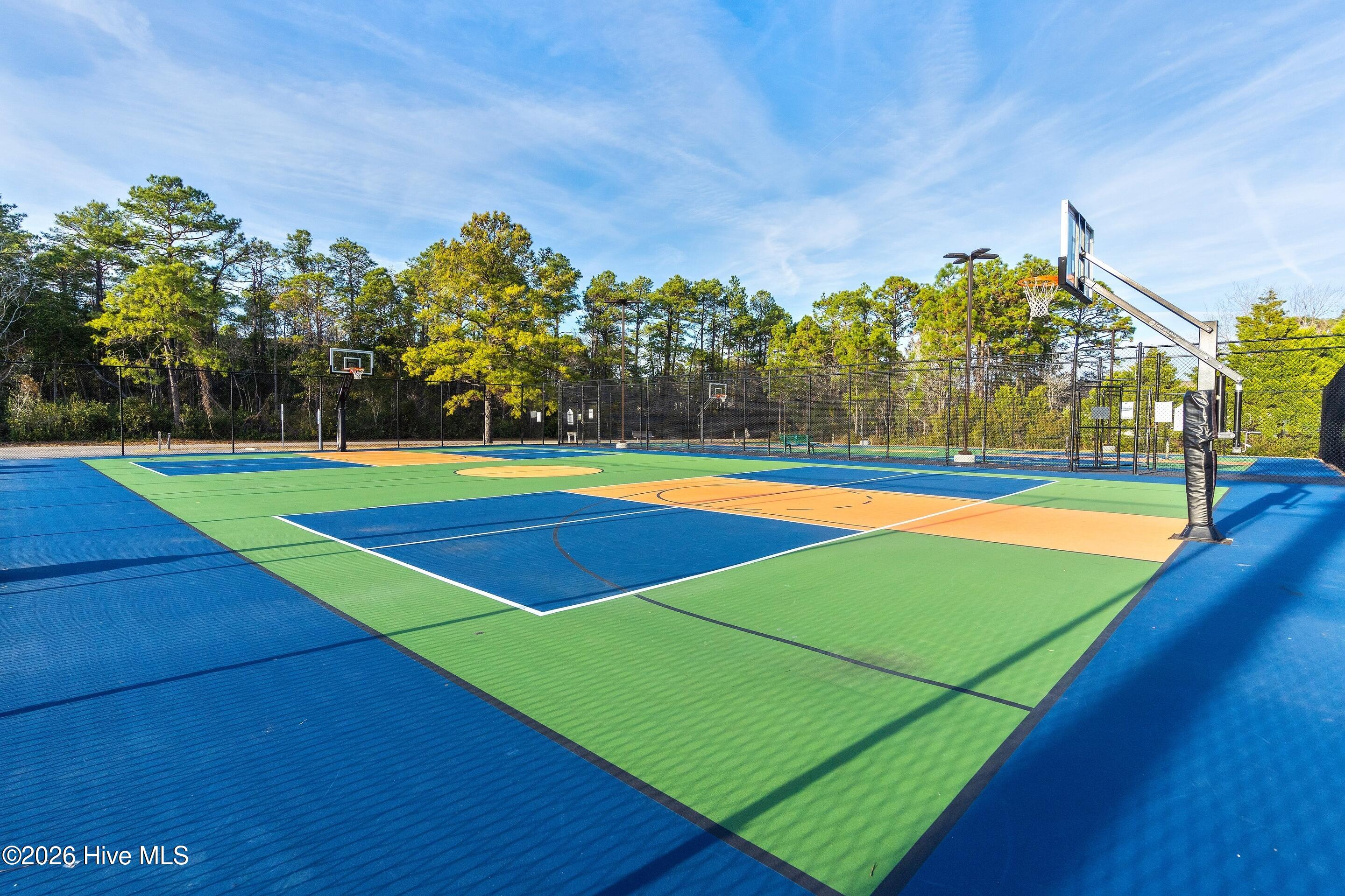 100548335 | Photo 63