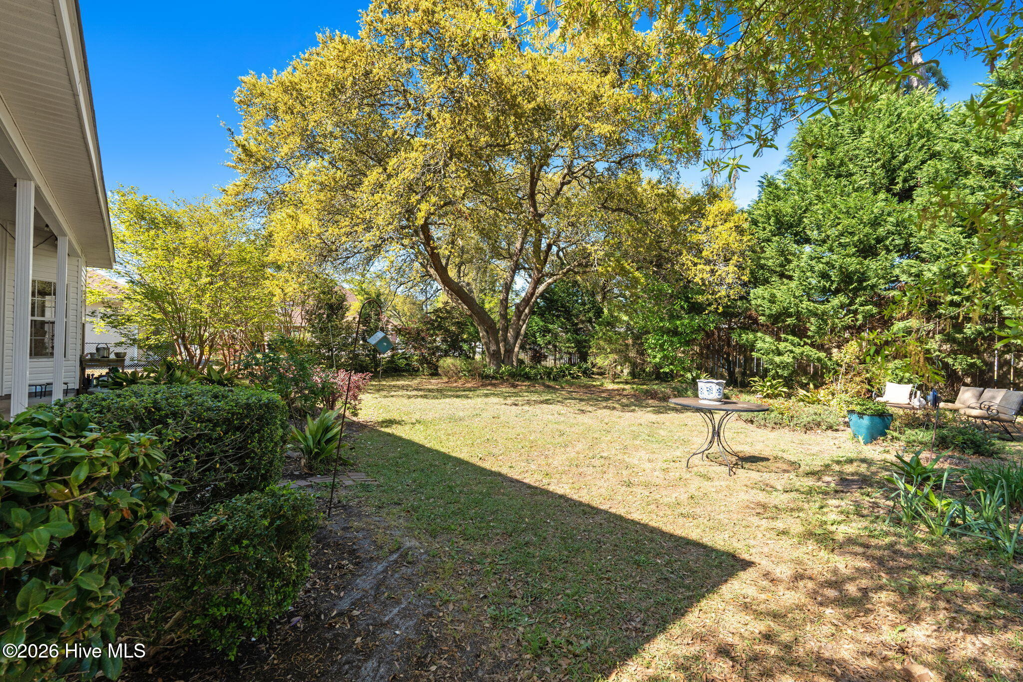 100567853 | Photo 43