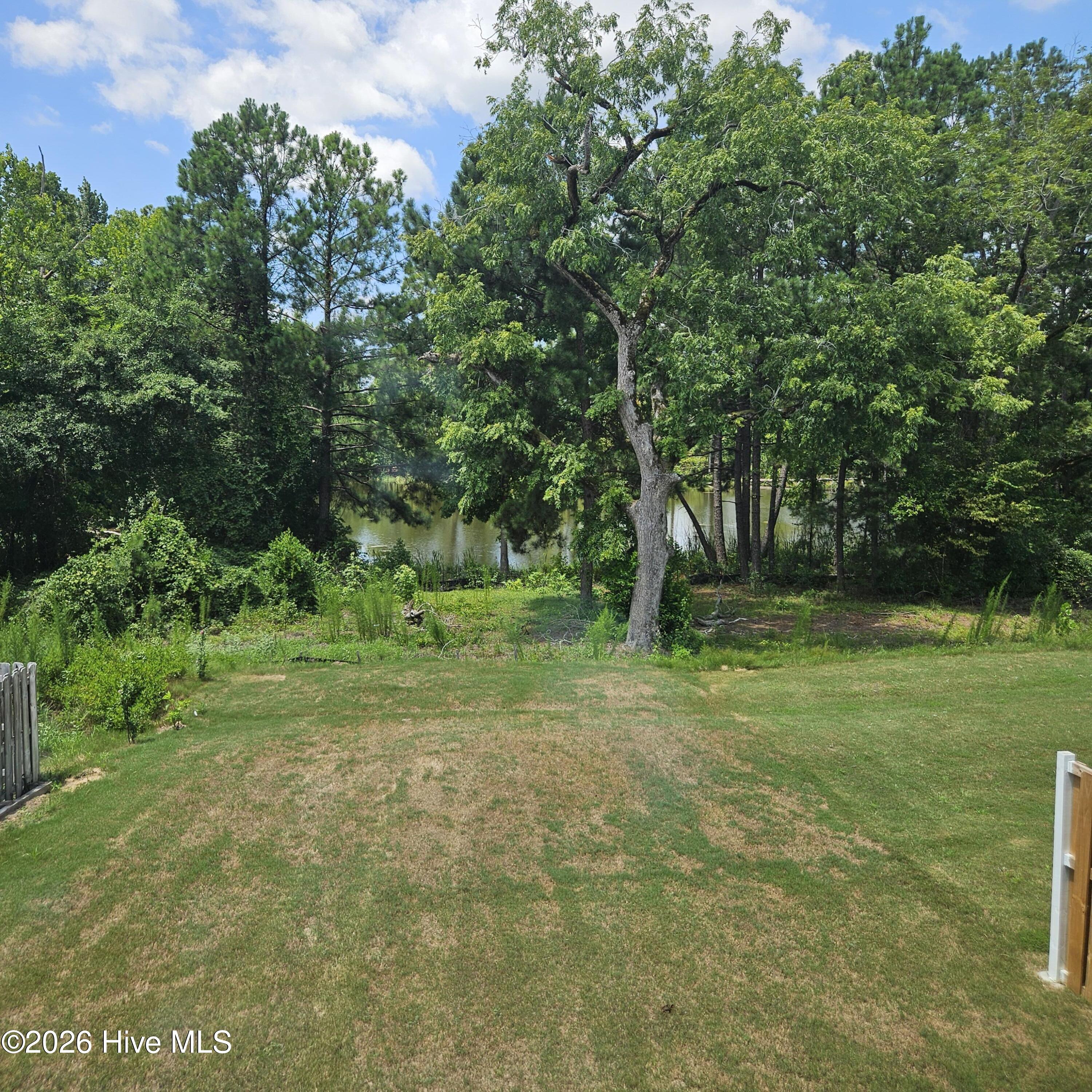 Pond View from master bedroom window