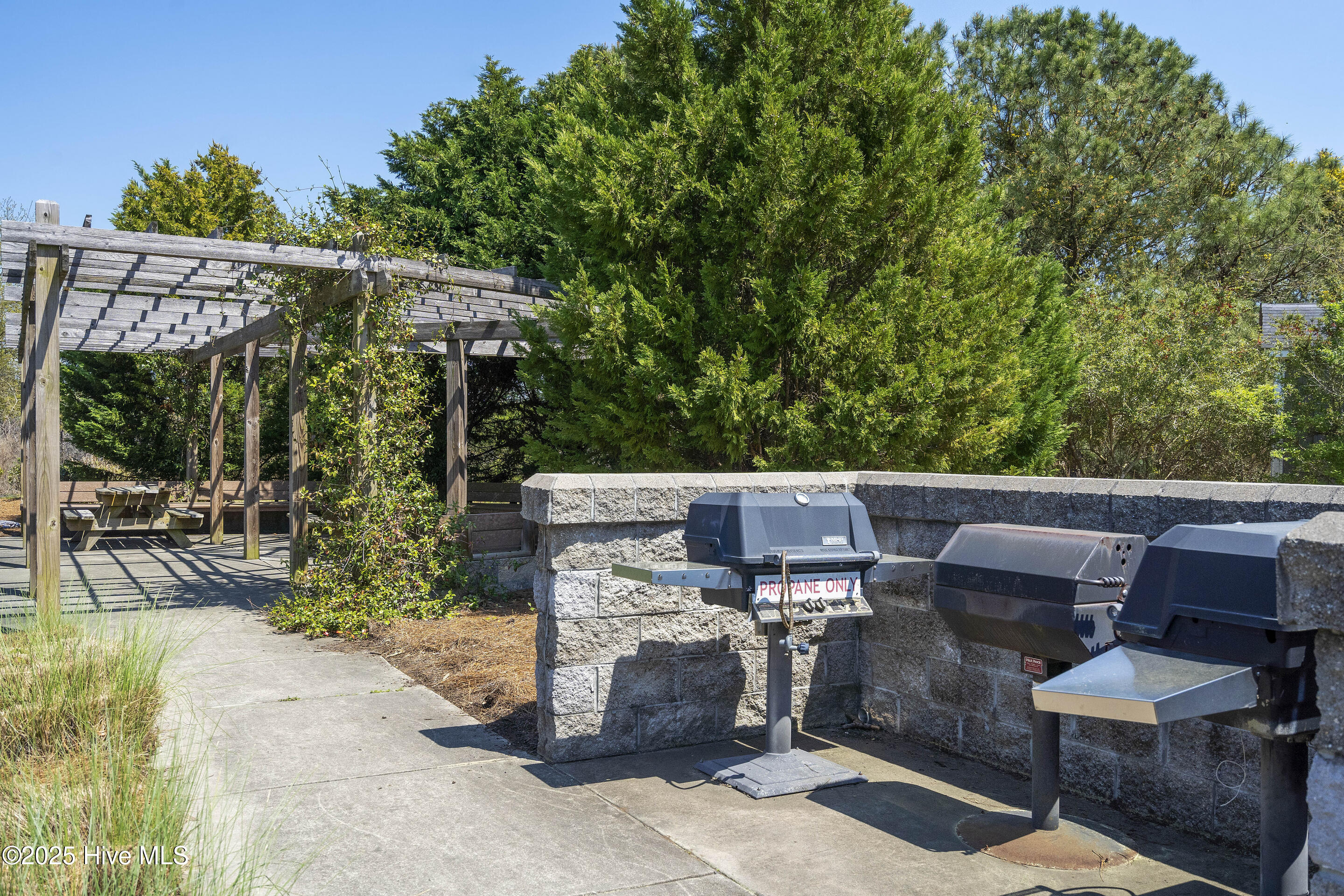 100506329 | Photo 52