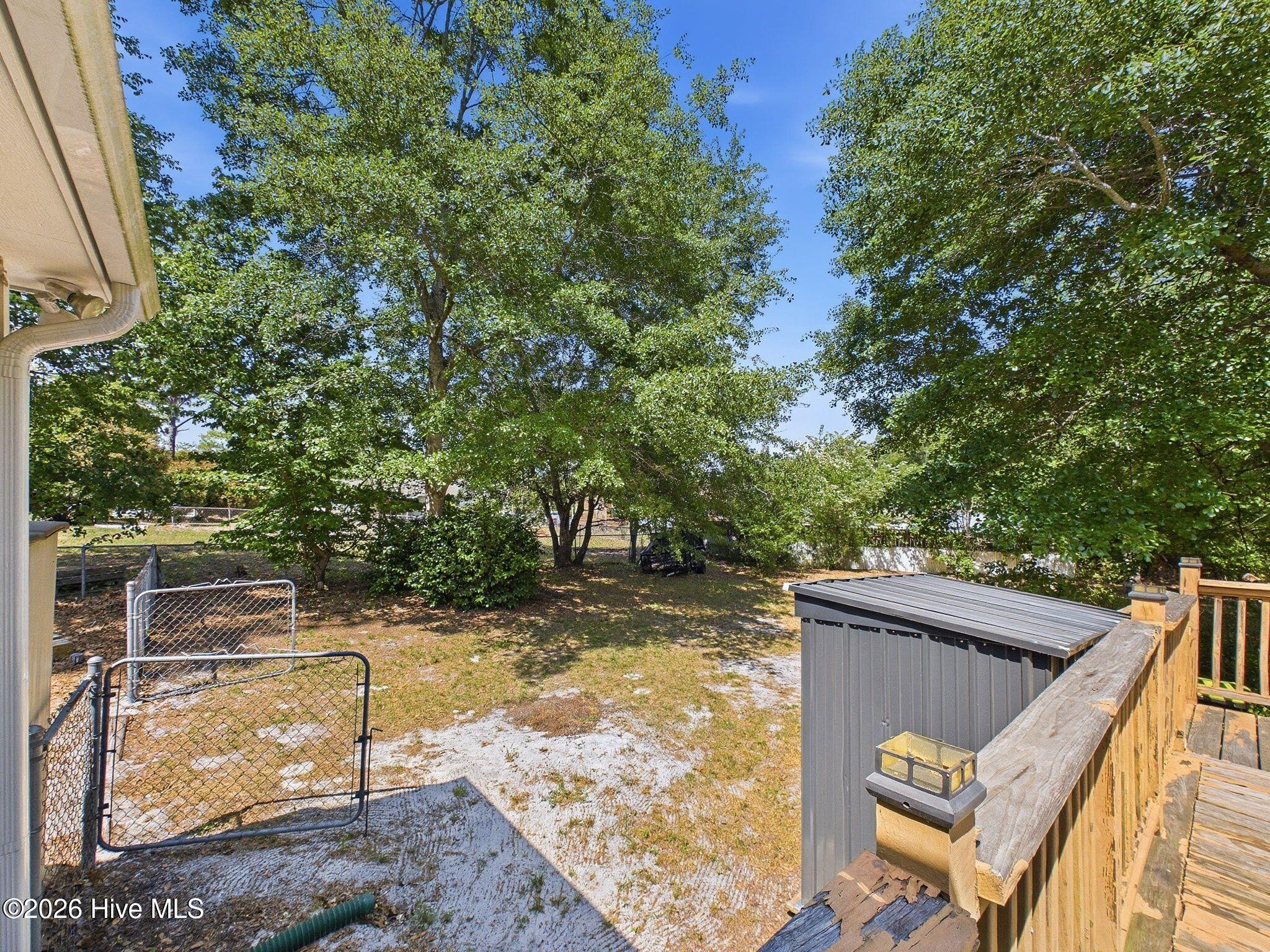 100569518 | Photo 50