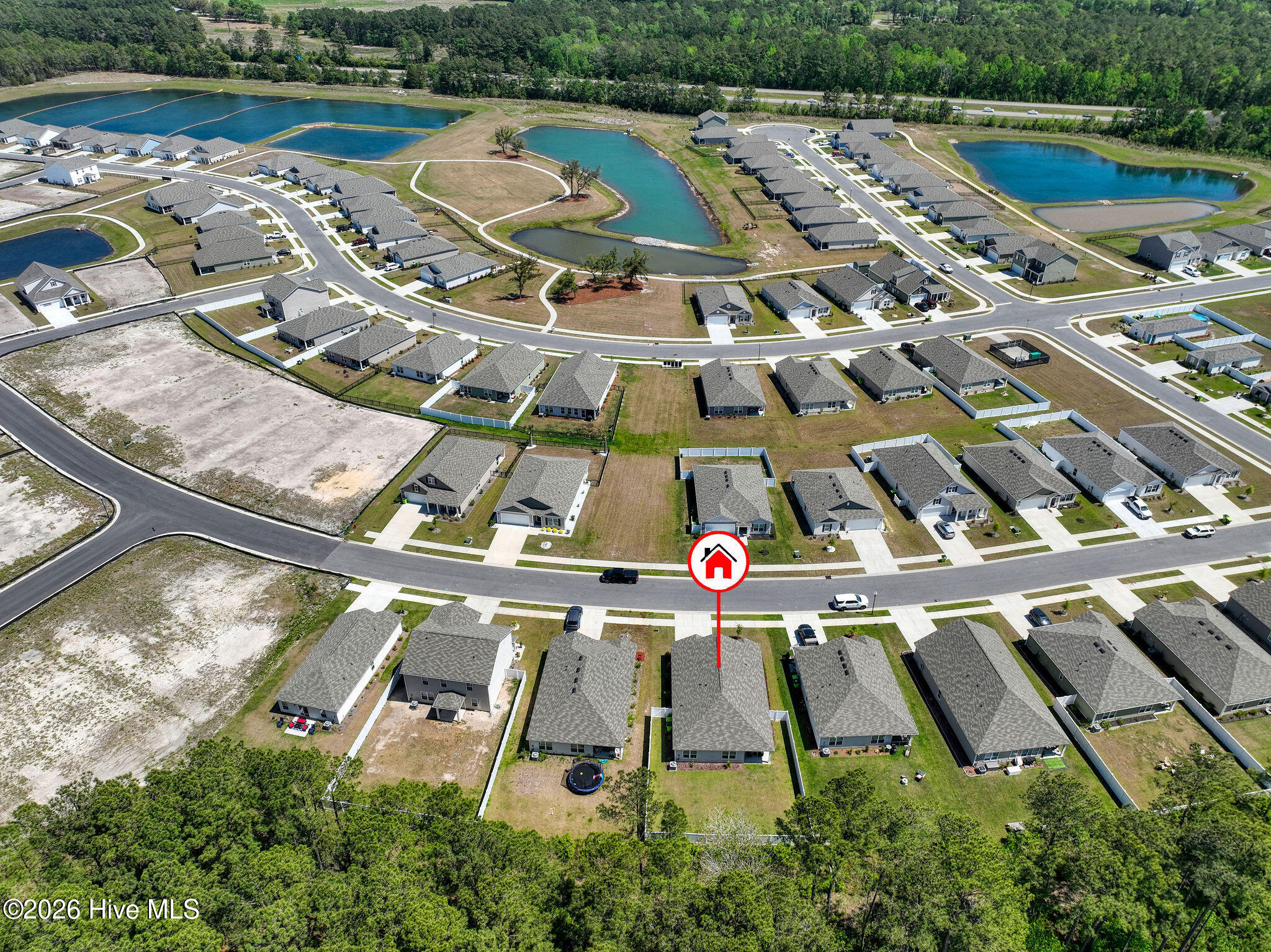 100568433 | Photo 38