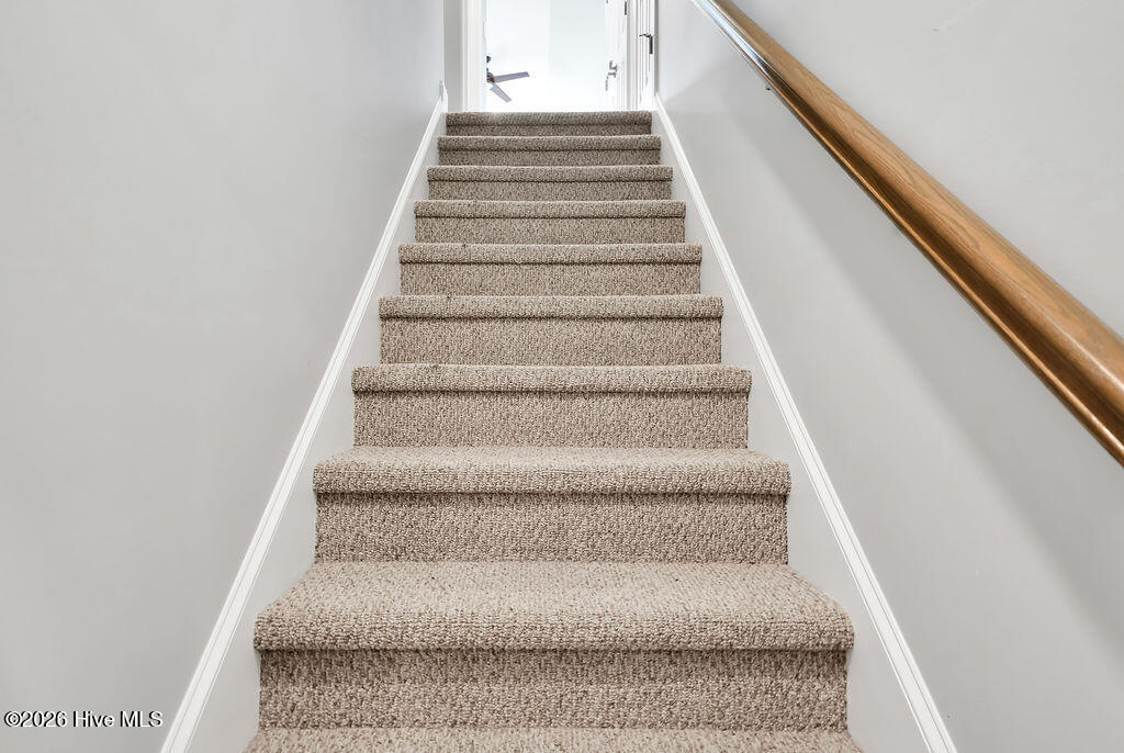 100558721 | Photo 36