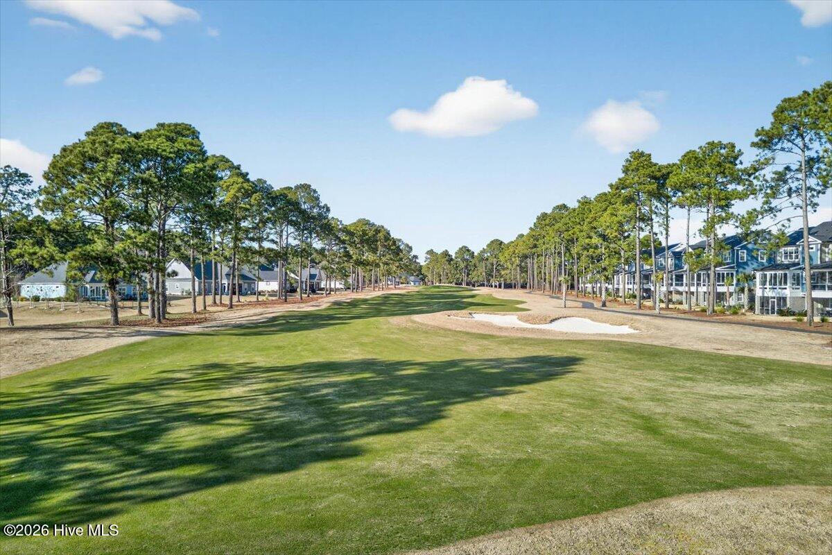 100548349 | Photo 14