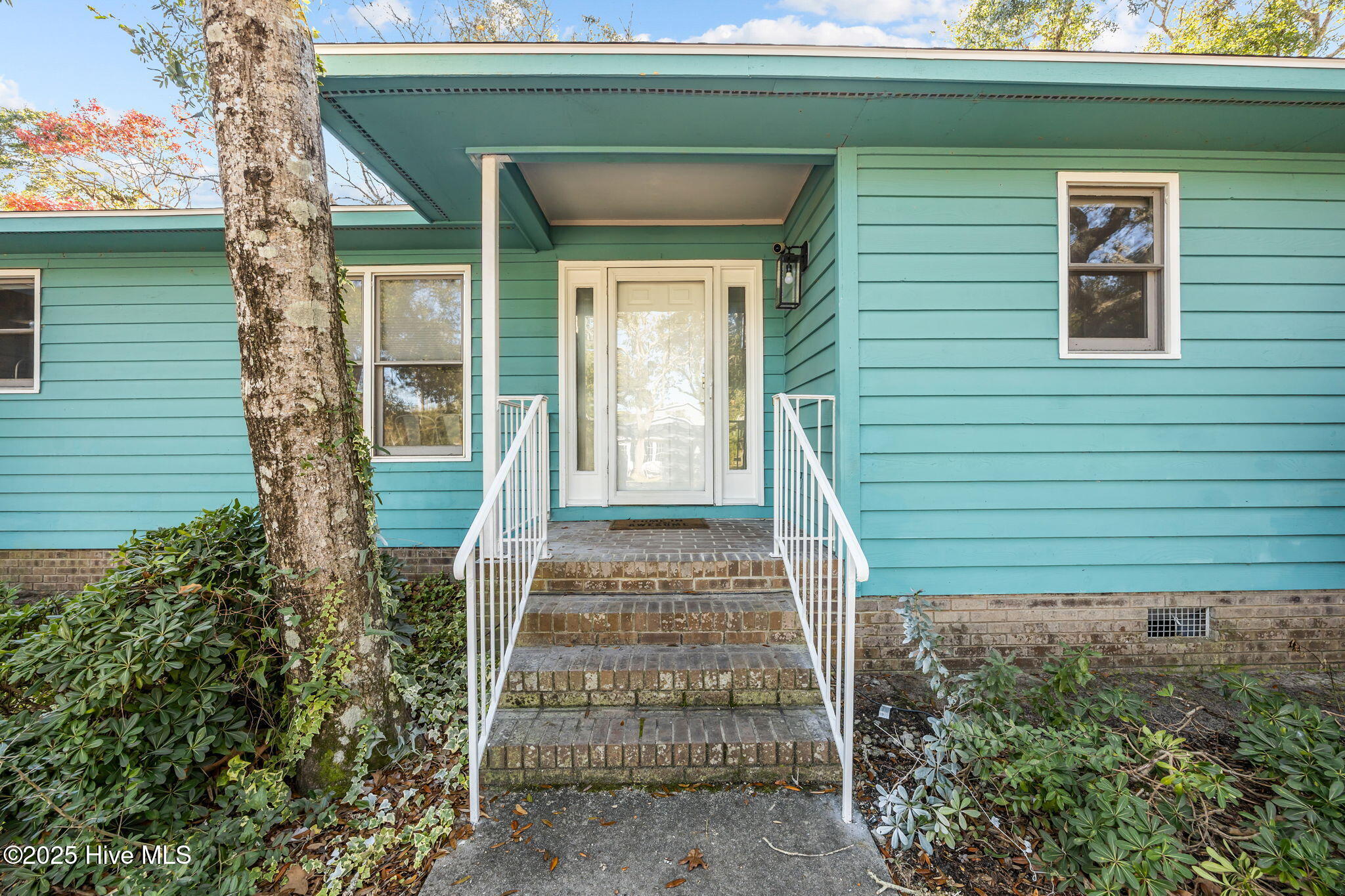 100522613 | Photo 42