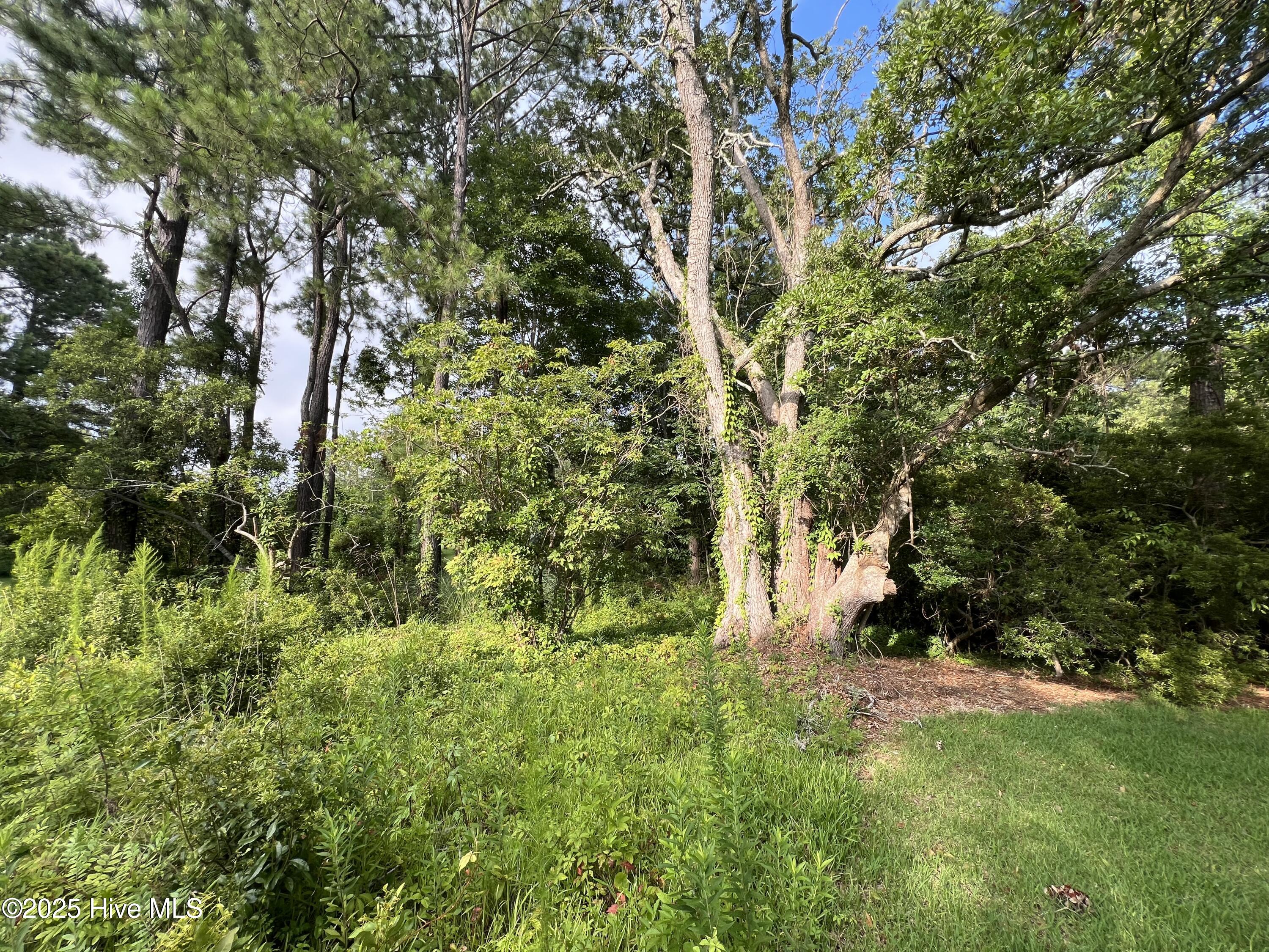 100521126 | Photo 15