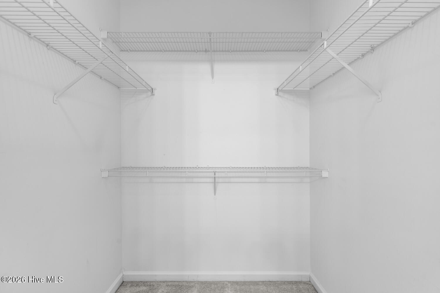 100553913 | Photo 18