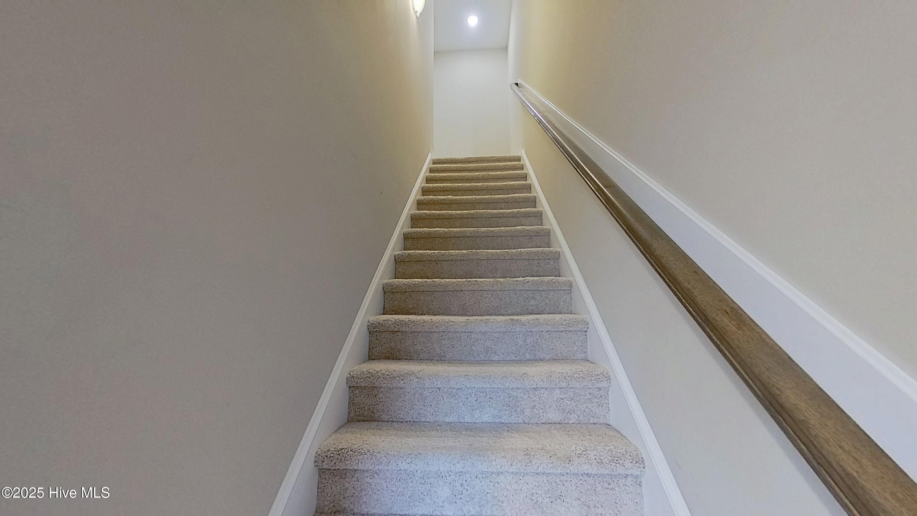 100567217 | Photo 13