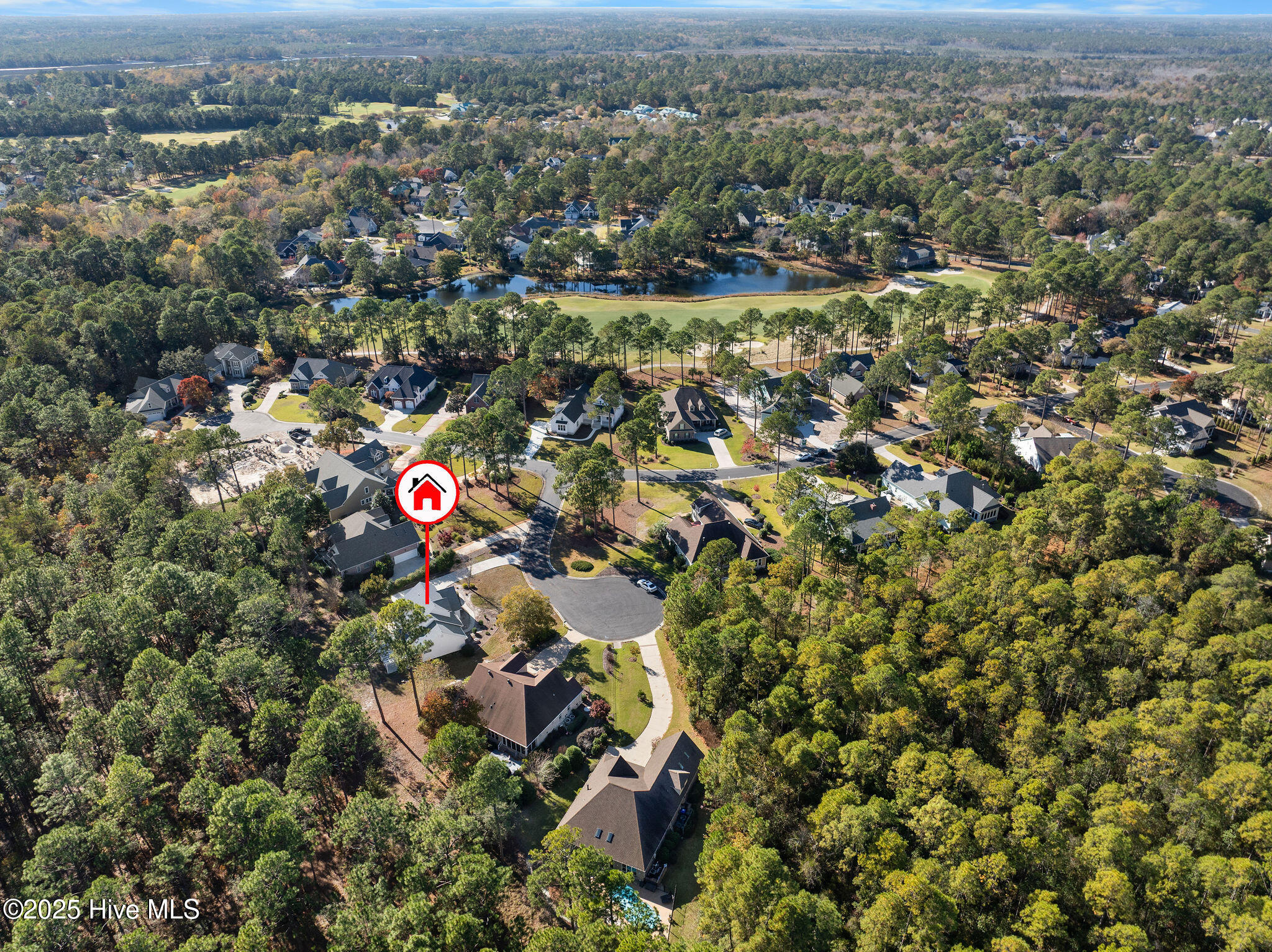 100541401 | Photo 53