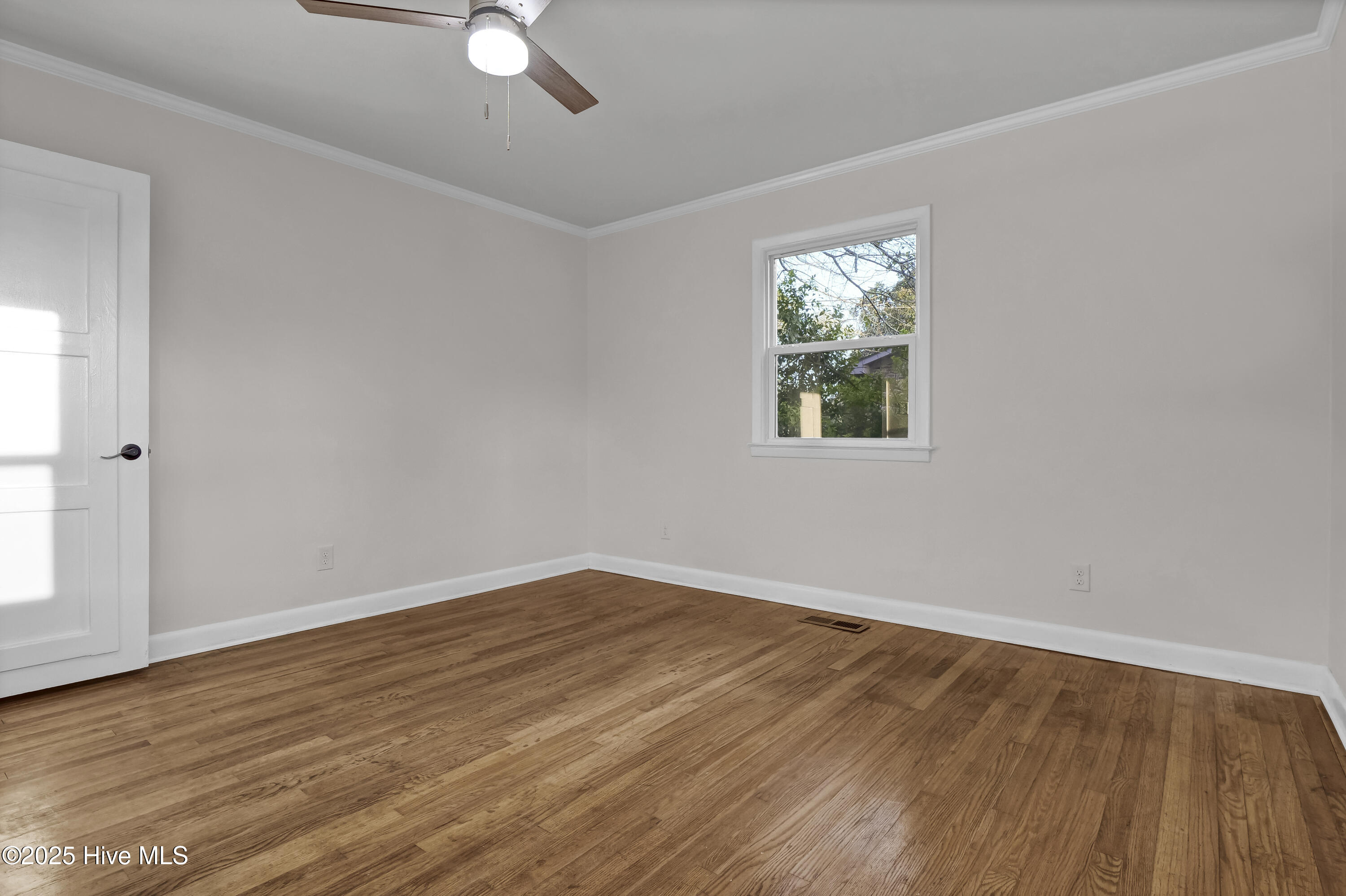 100555284 | Photo 17