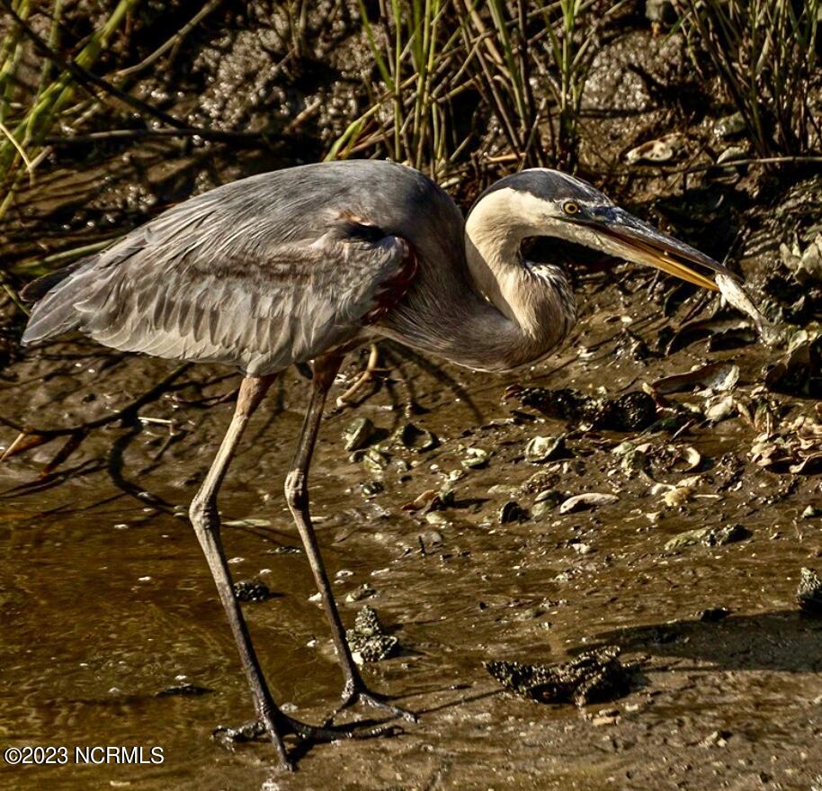 100388234 | Photo 43