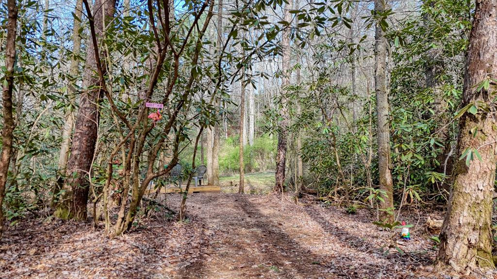 520 Farmer Drive, Murphy, NC 28906 Listing Photo  132