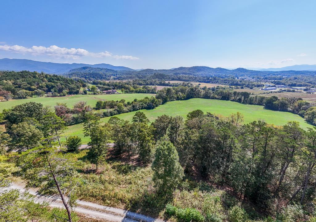 Listing Photo 98543007