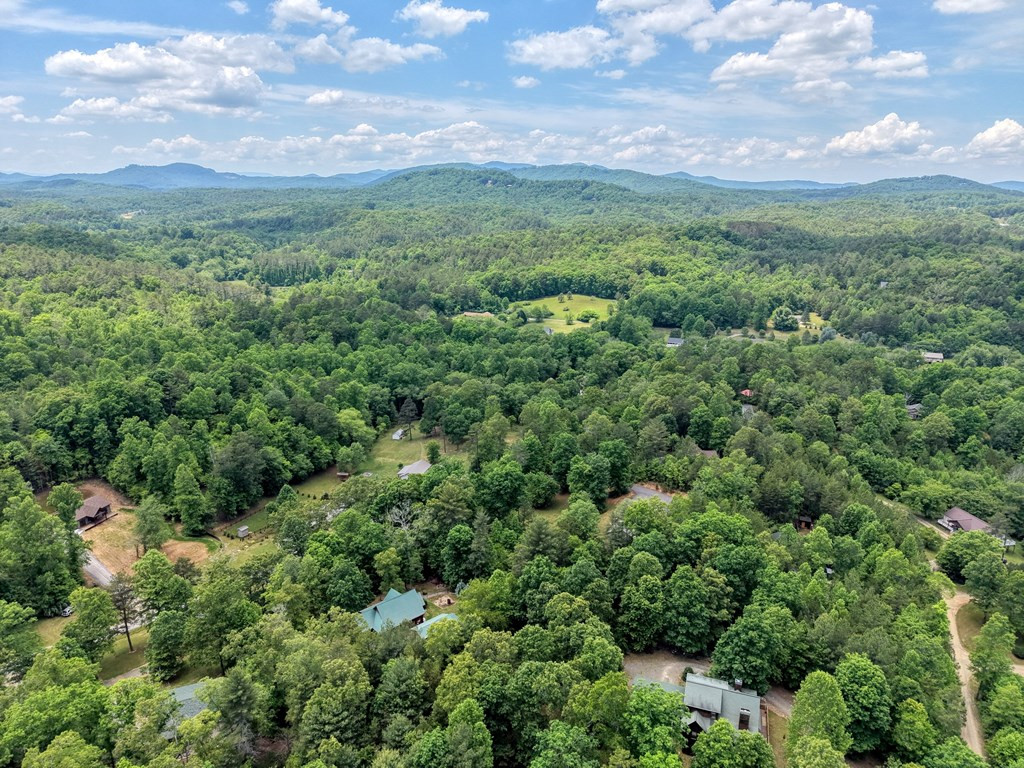 290 Butterball Boulevard, Murphy, NC 28906 Listing Photo  46