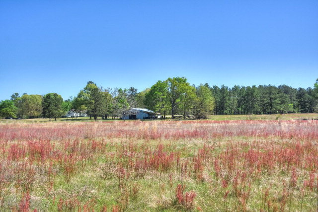 10955 Edgehill Road, Gibson, GA 30810 Listing Photo  38