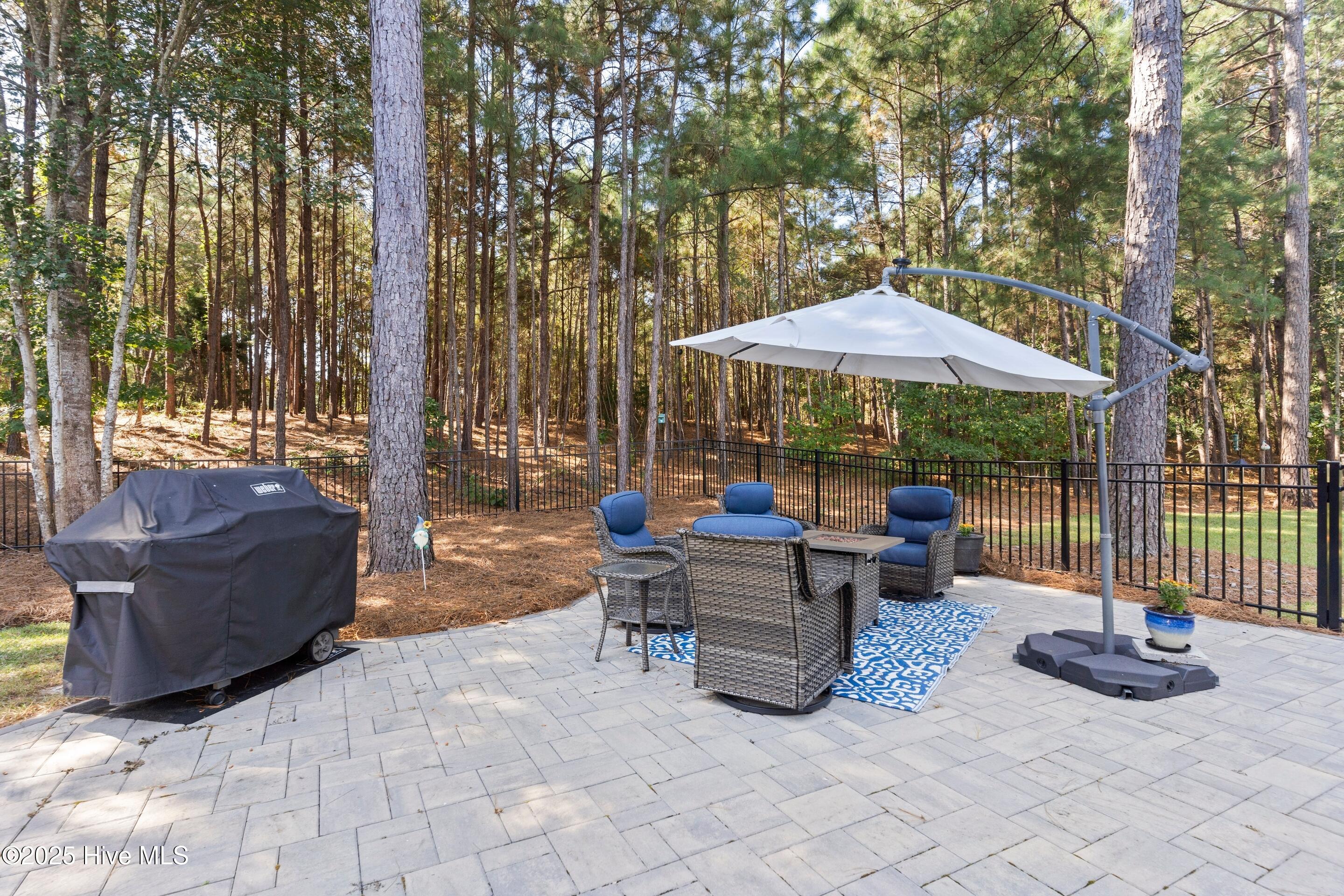 100532334 | Photo 39