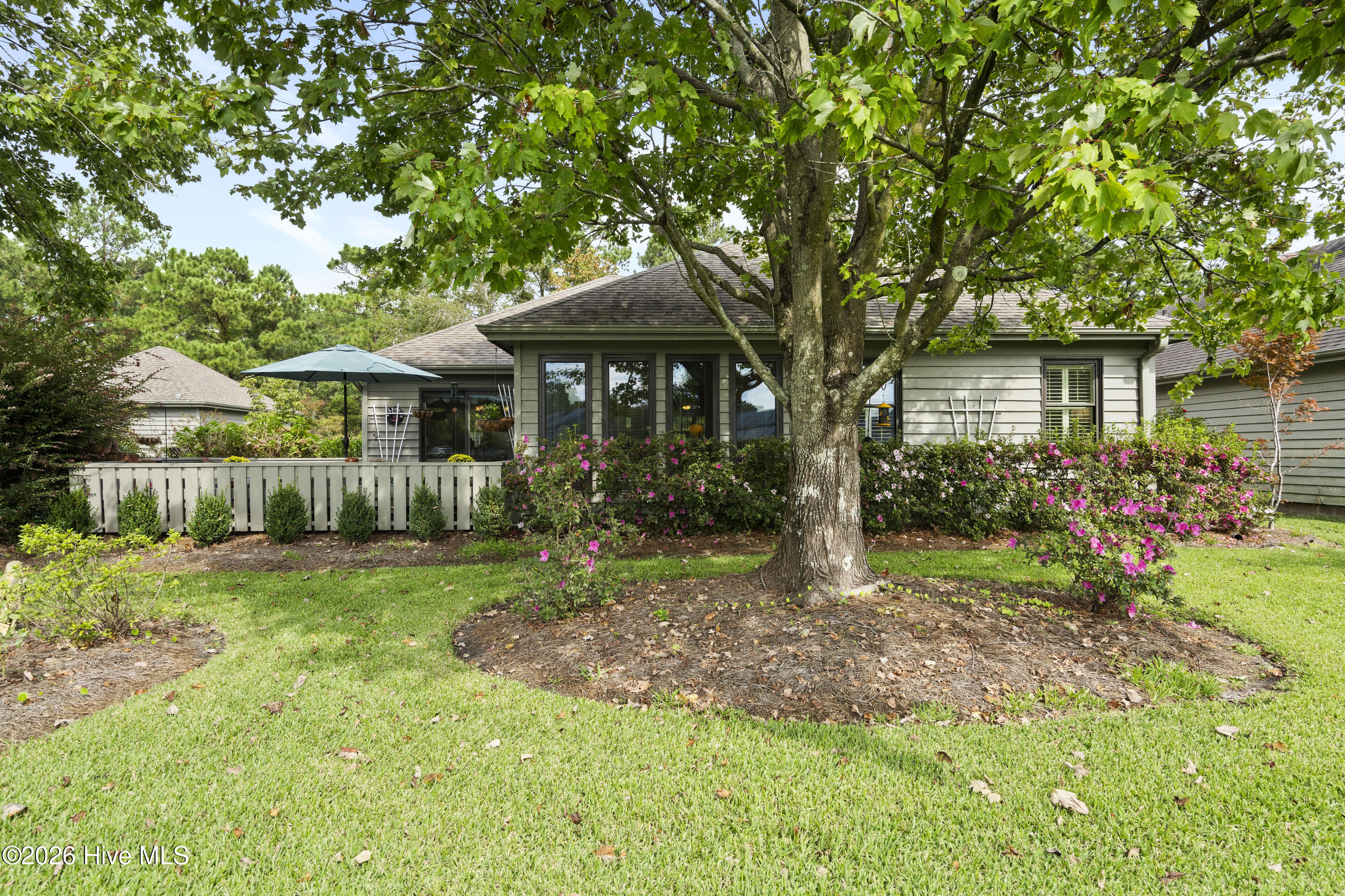 100558644 | Photo 47