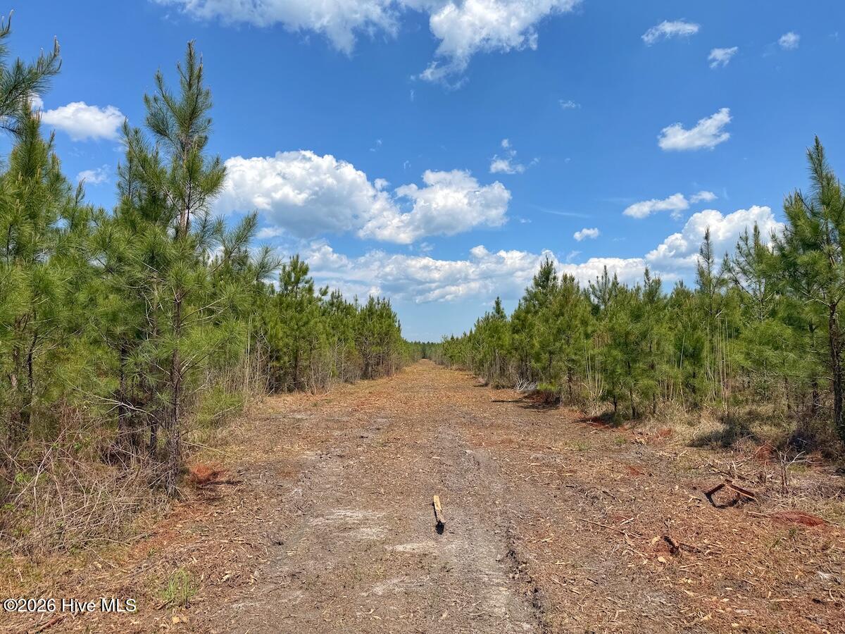 0 Guinea Mill Road, Ernul, NC, 28527