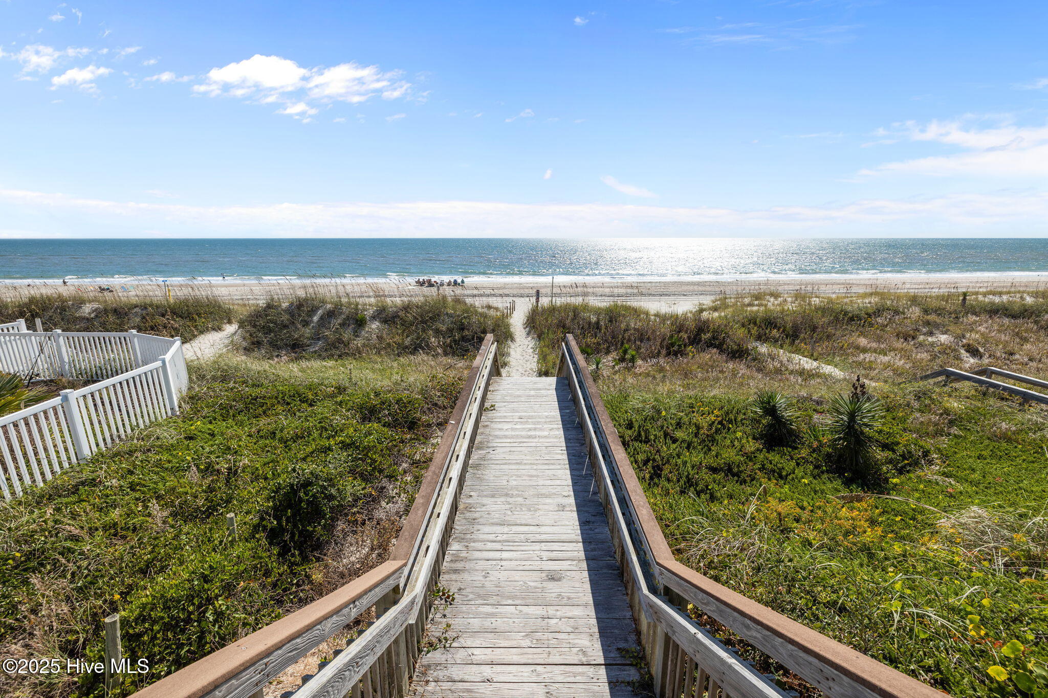 100537842 | Photo 52