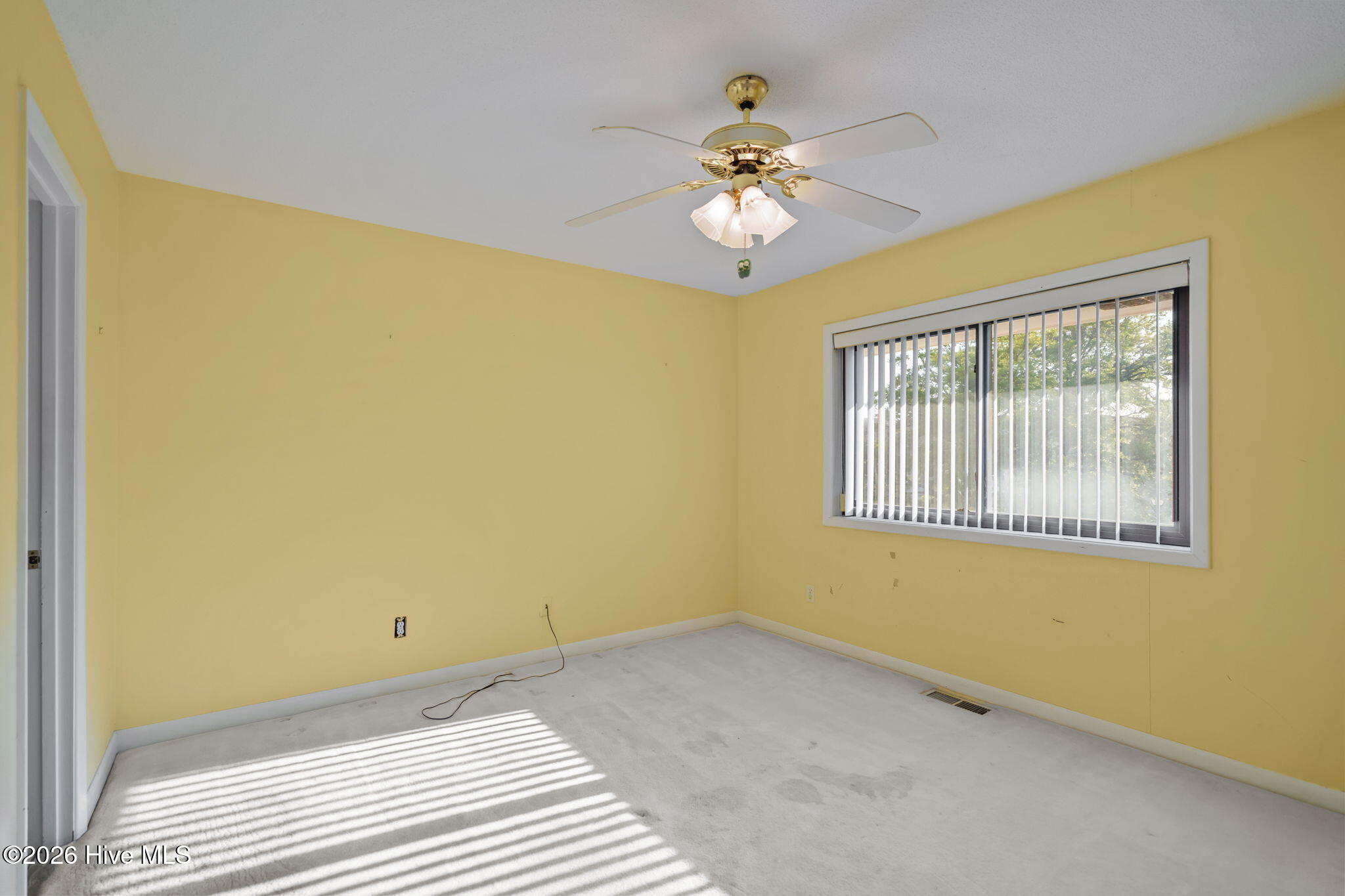 100568499 | Photo 20