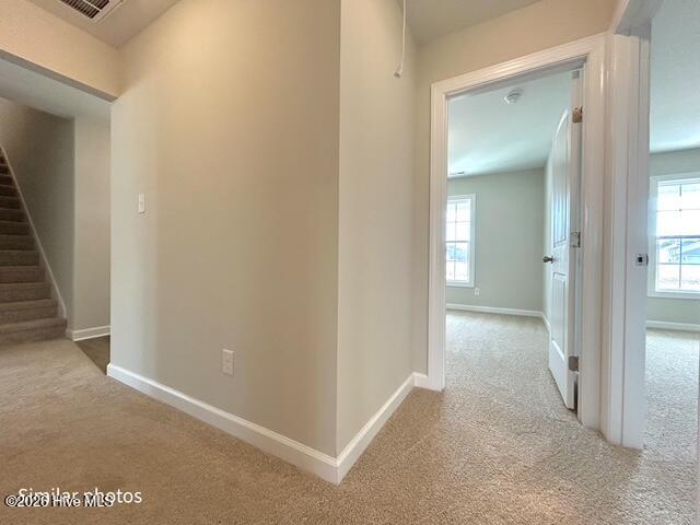 100560843 | Photo 36