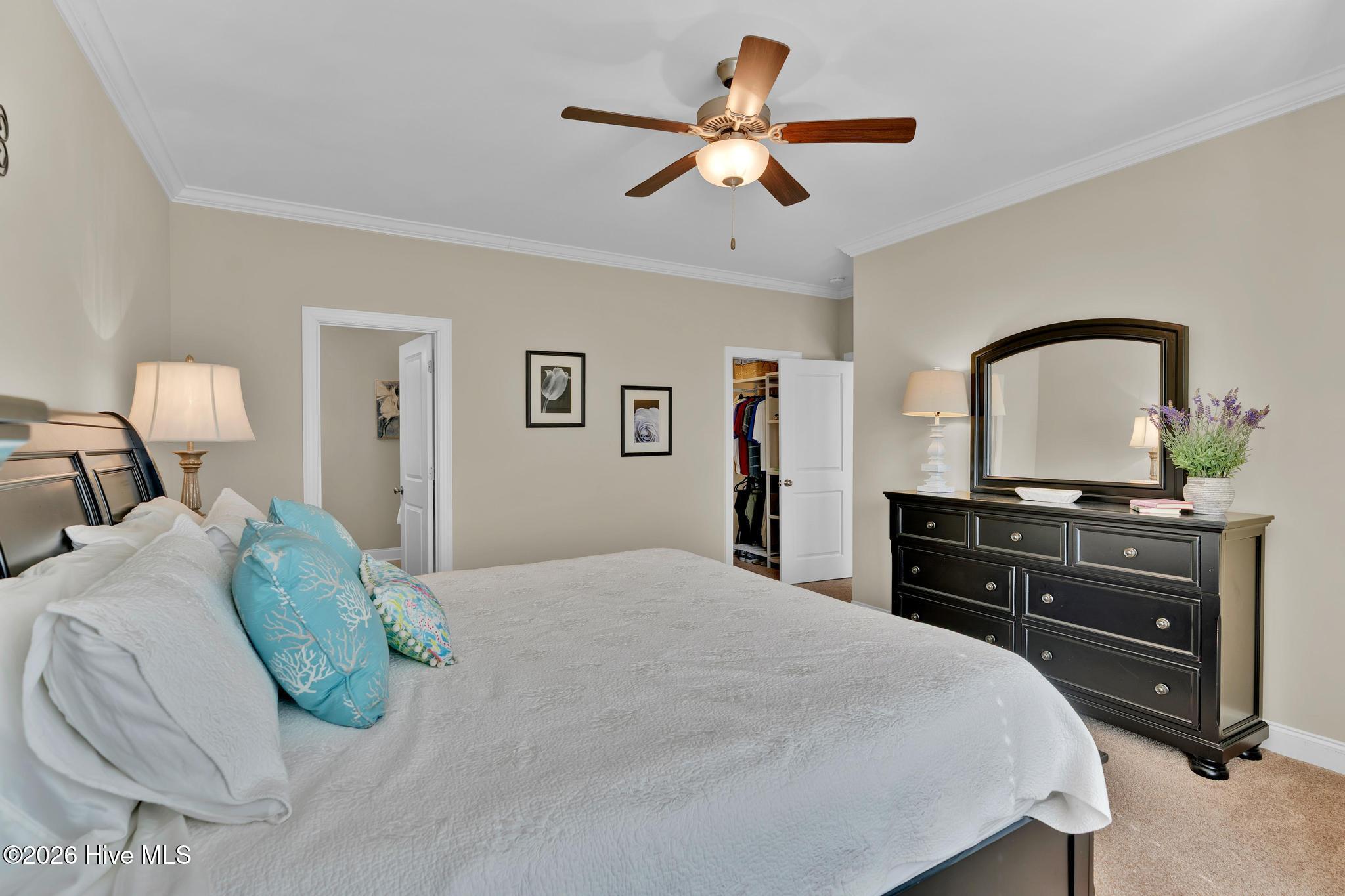 100556284 | Photo 21