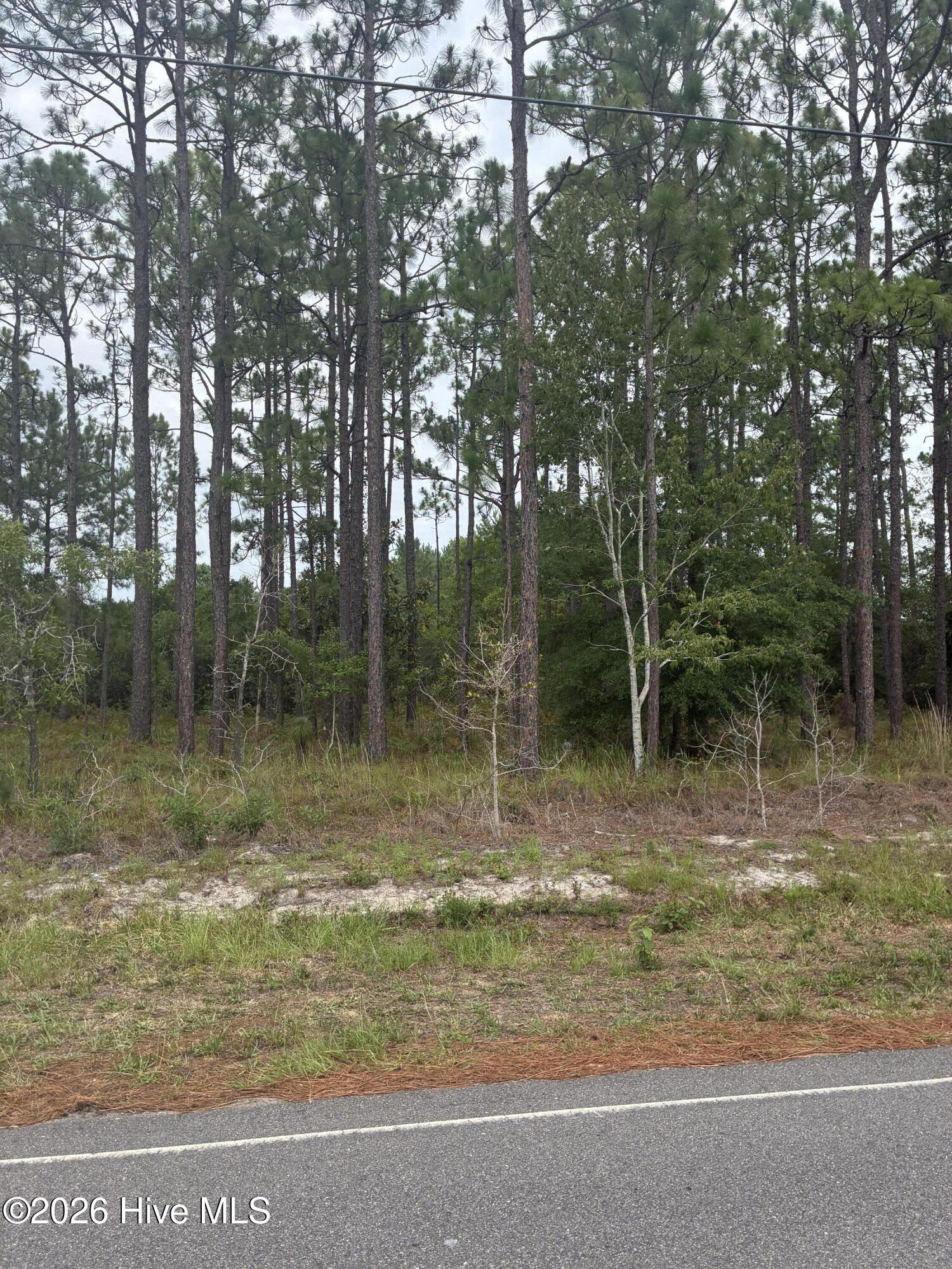 Carolina Barrier Islands
