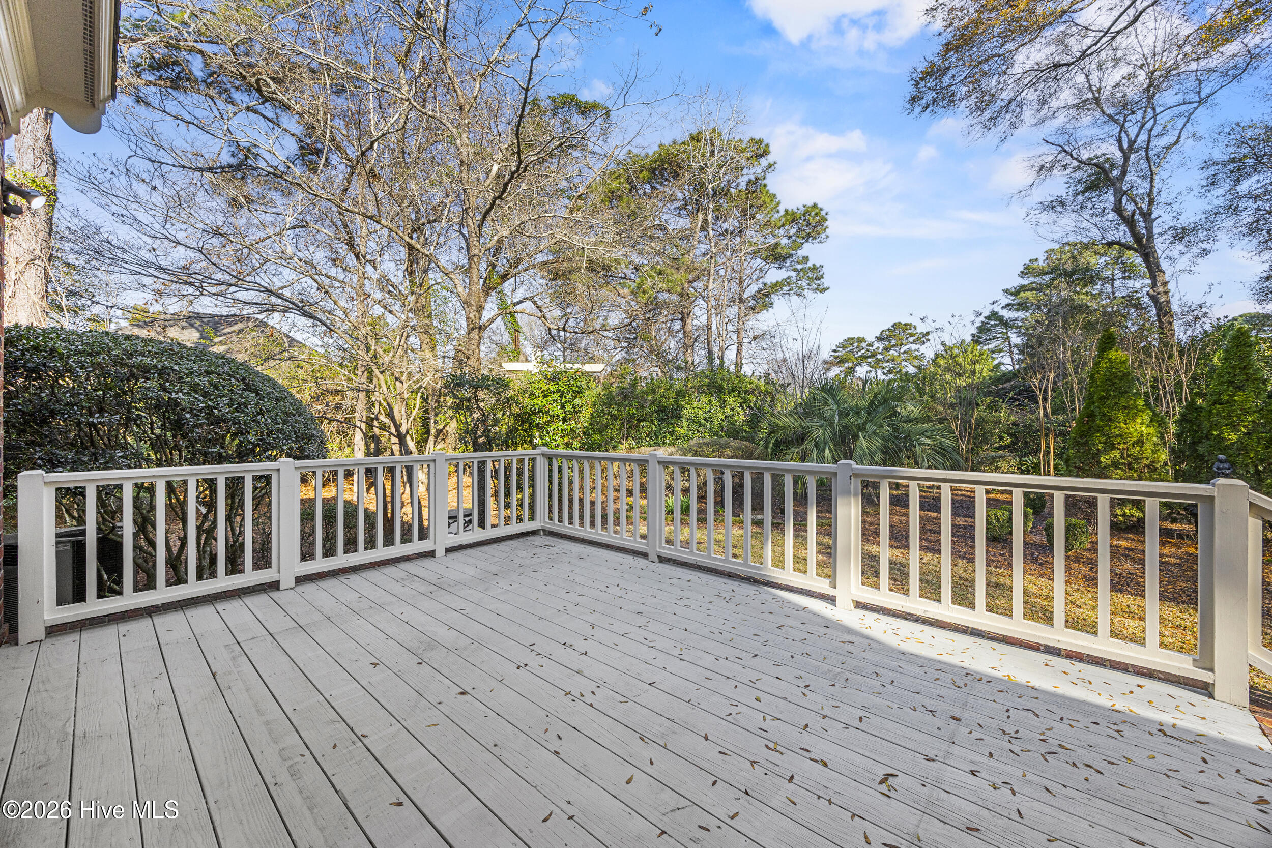 100560704 | Photo 62