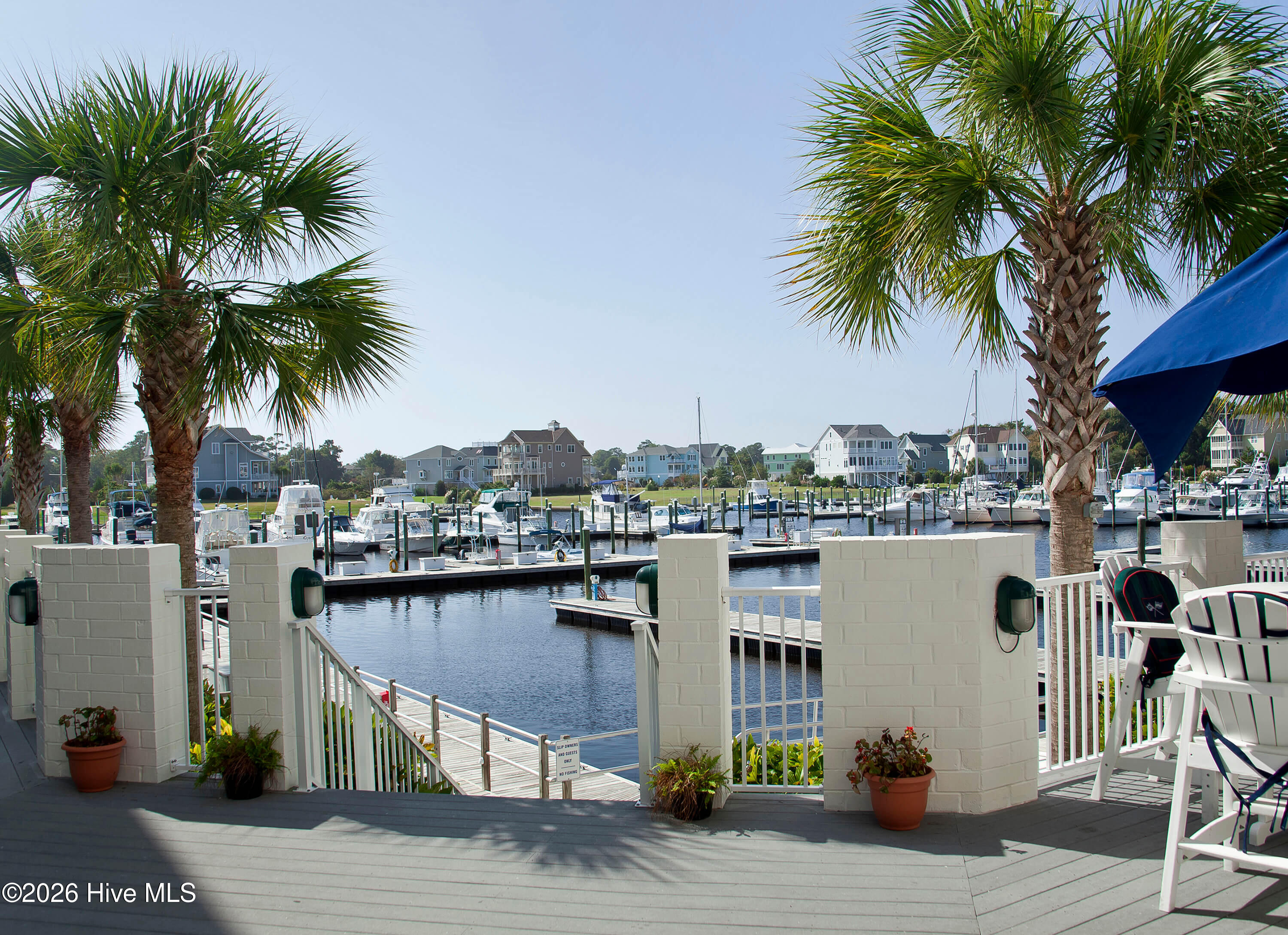 100555915 | Photo 66