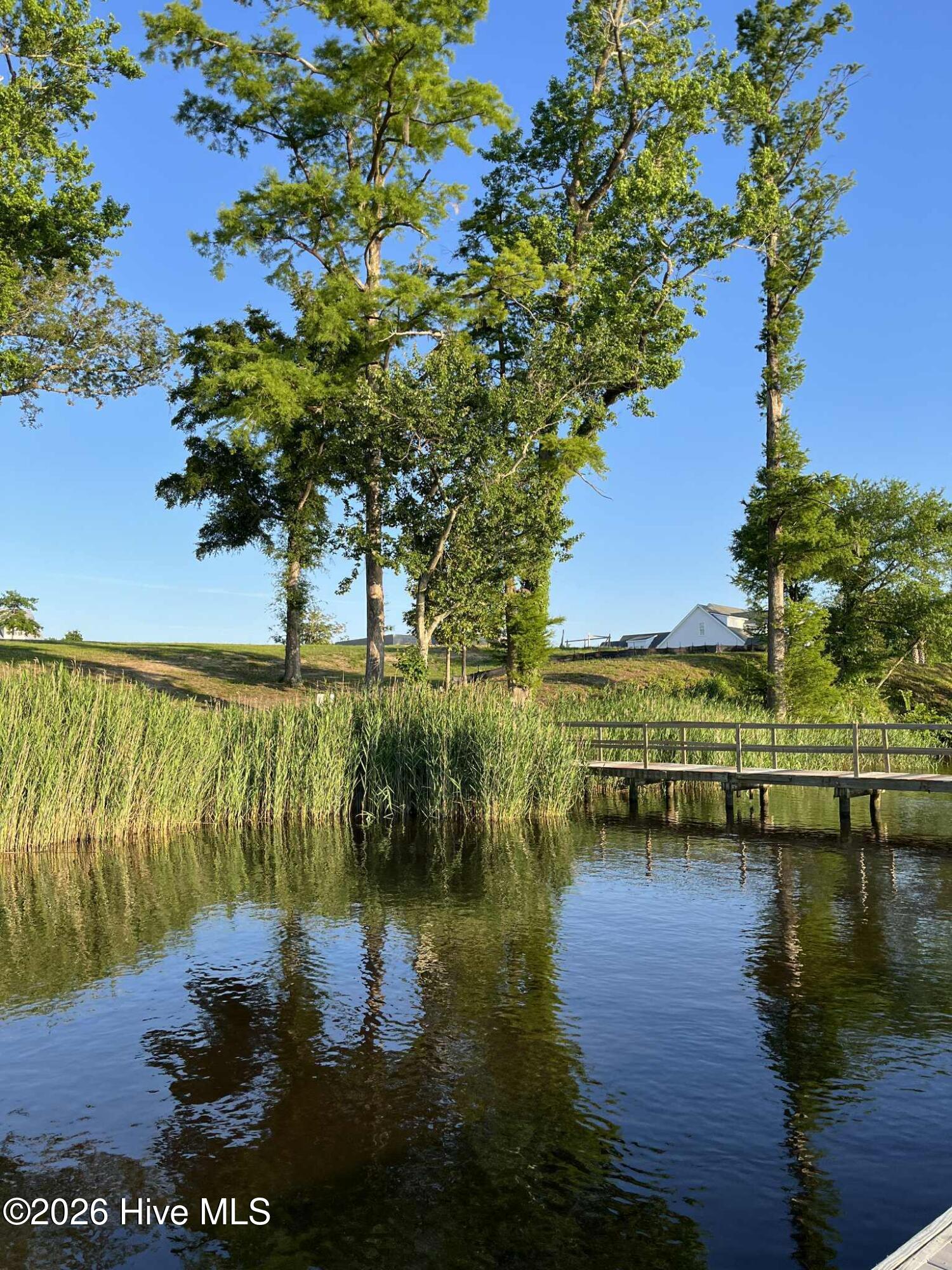 100548611 | Photo 47