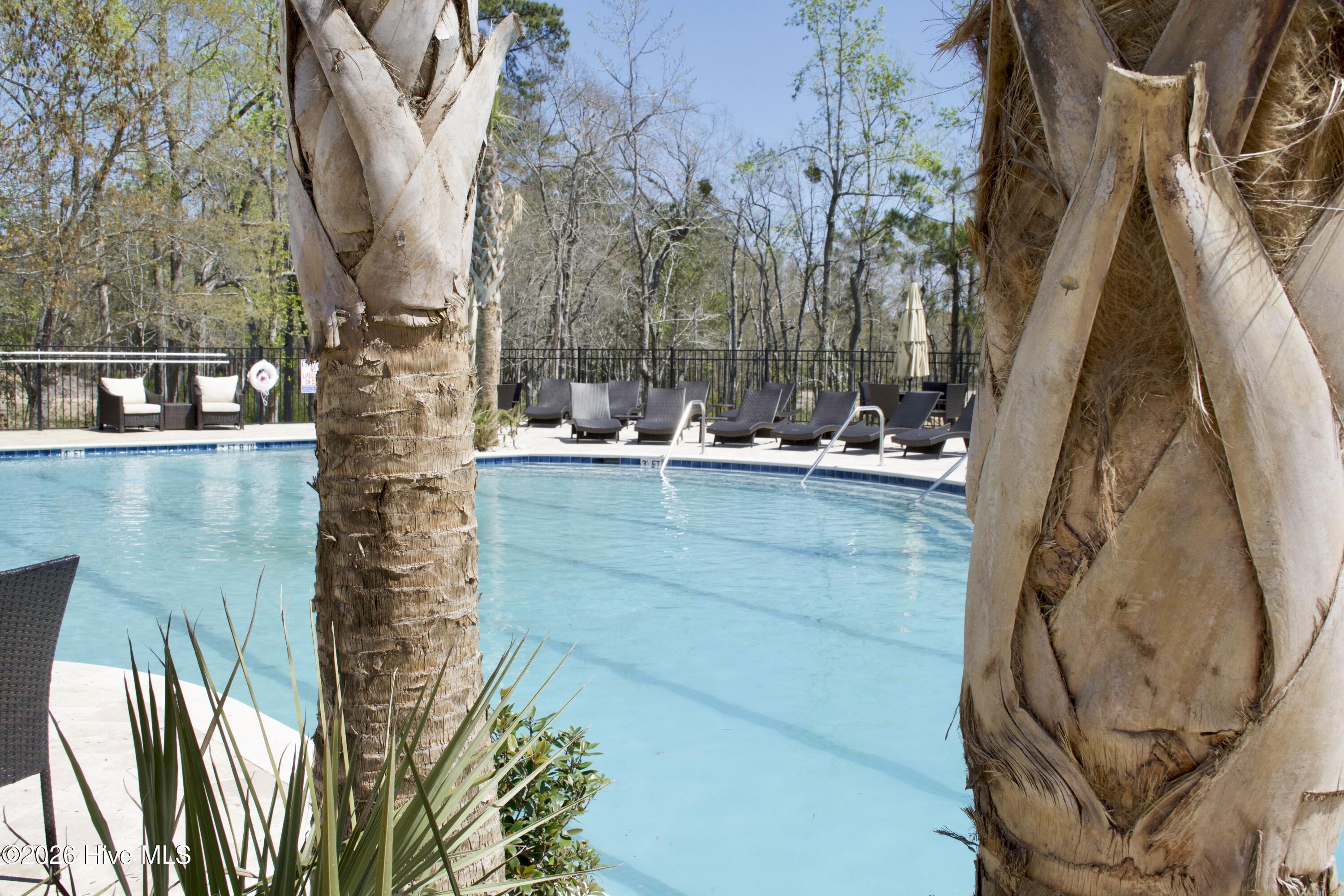 100561295 | Photo 56