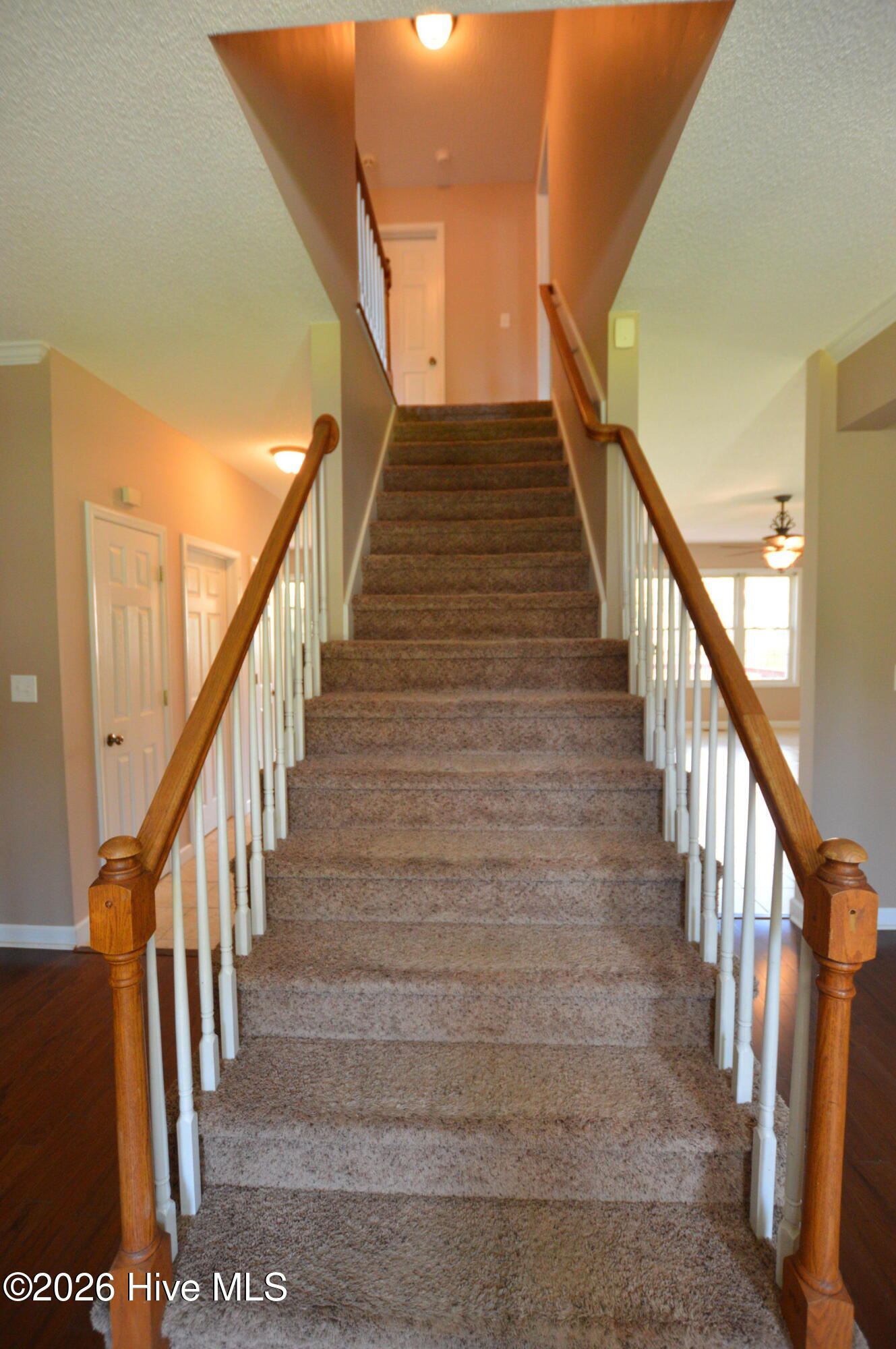 100565813 | Photo 15