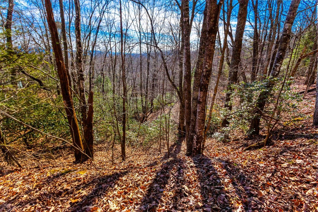 Exterior photo of TBD W Hills, Murphy, NC 28906. MLS: 98500844