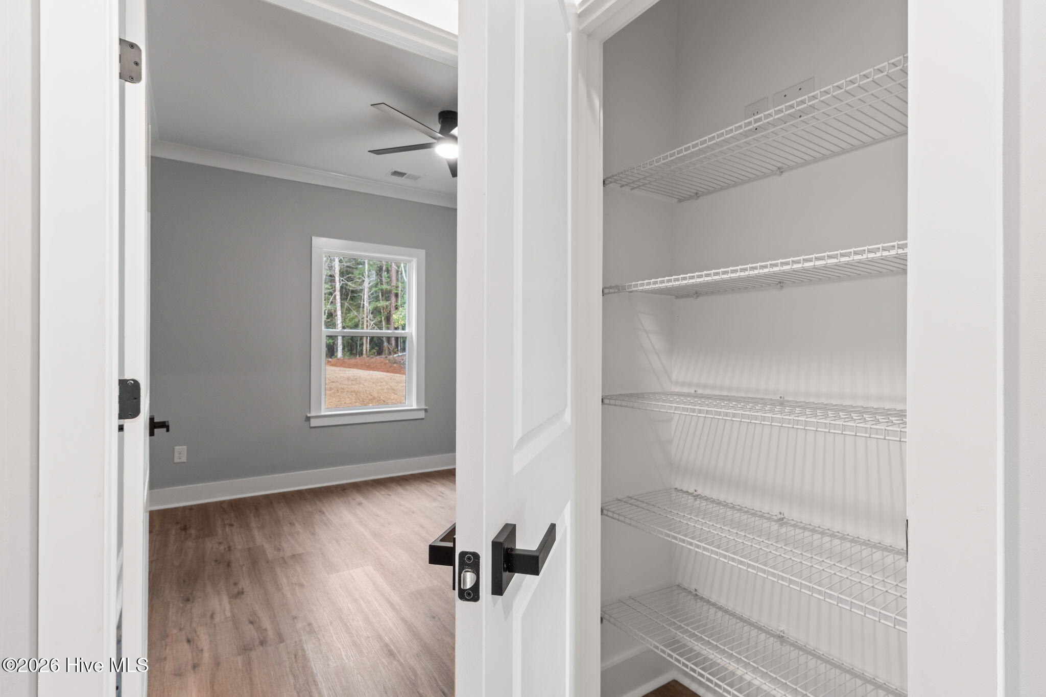 100557701 | Photo 41