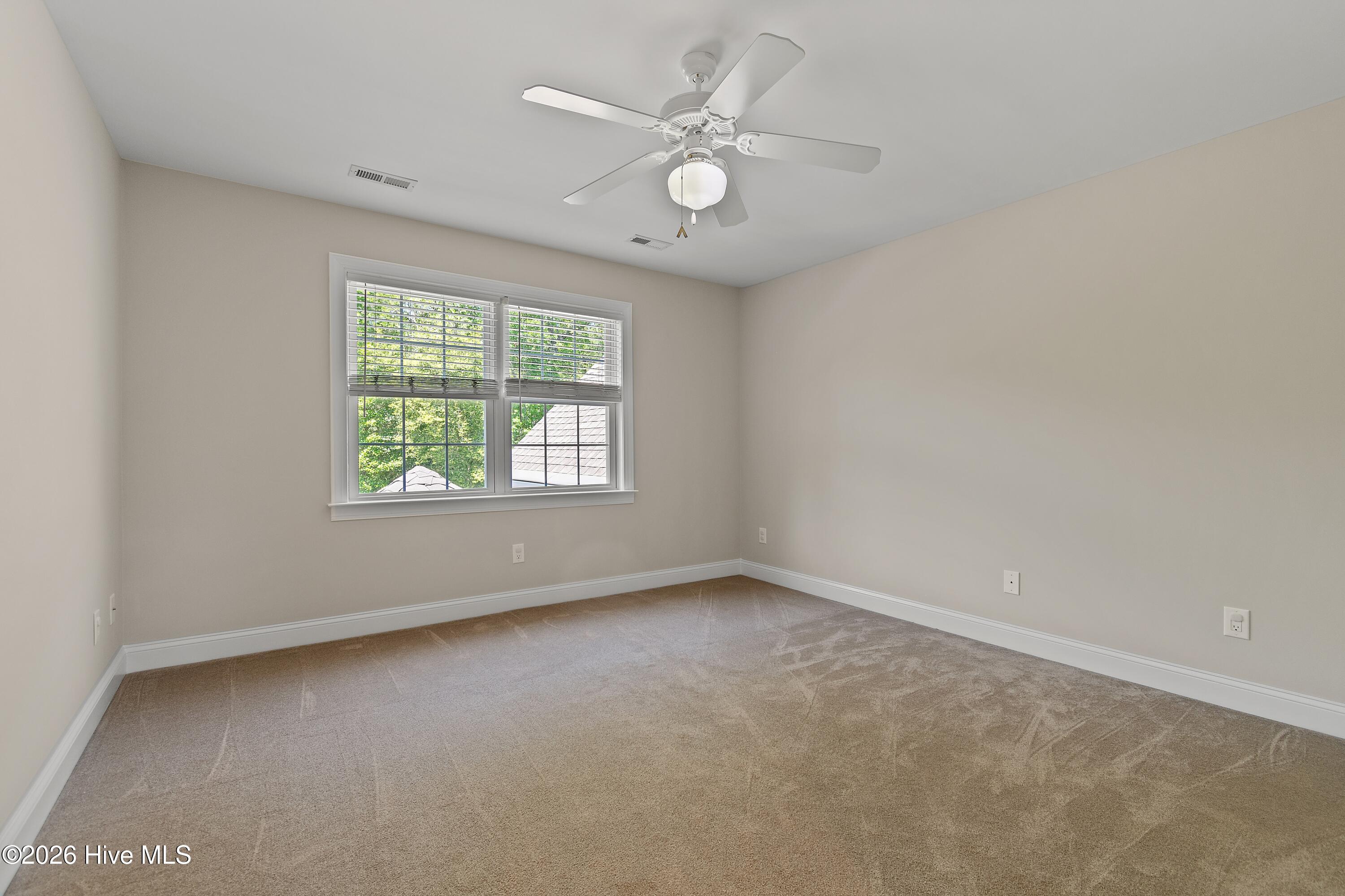 100568662 | Photo 35