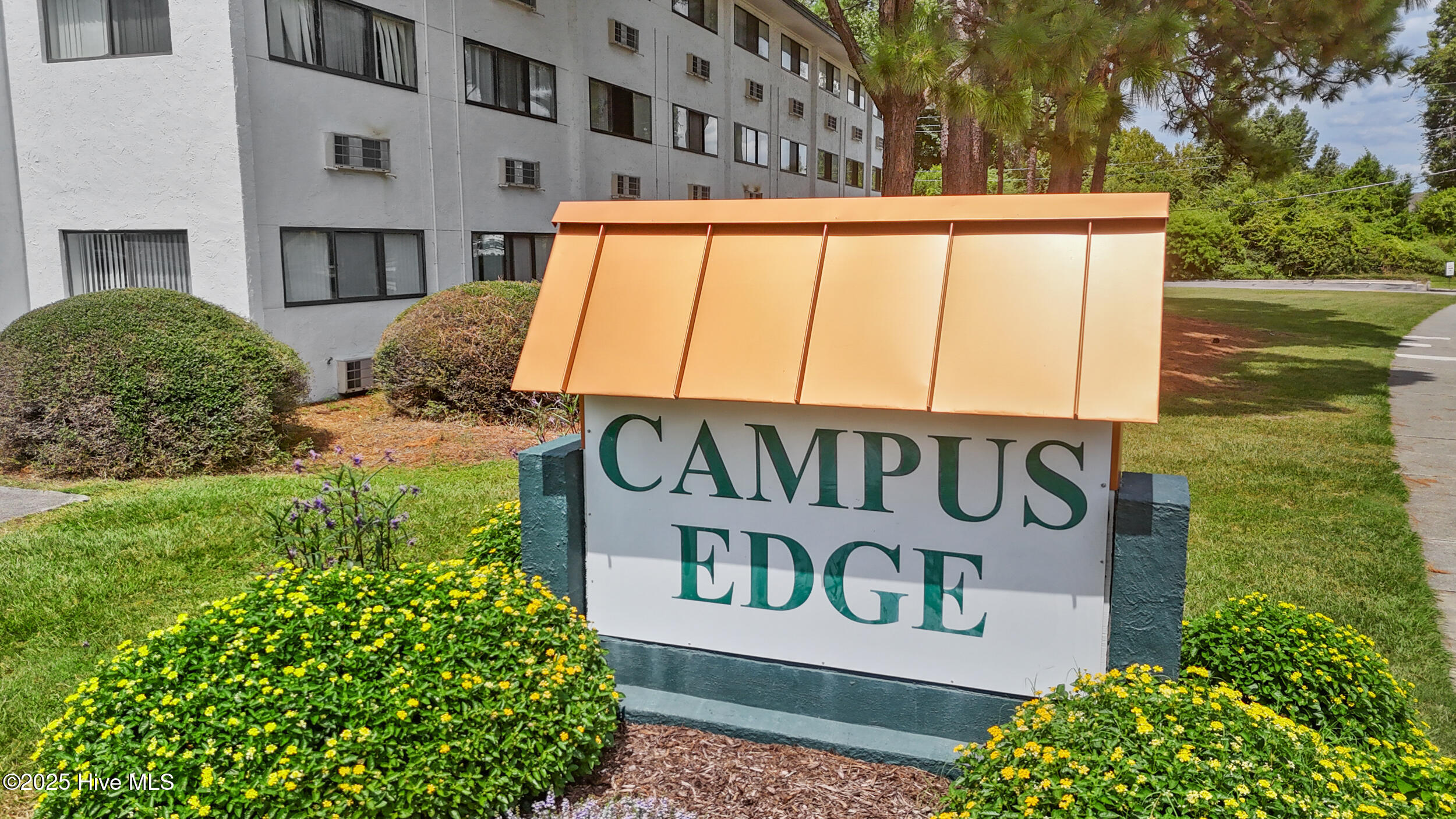 100533234 | Photo 11