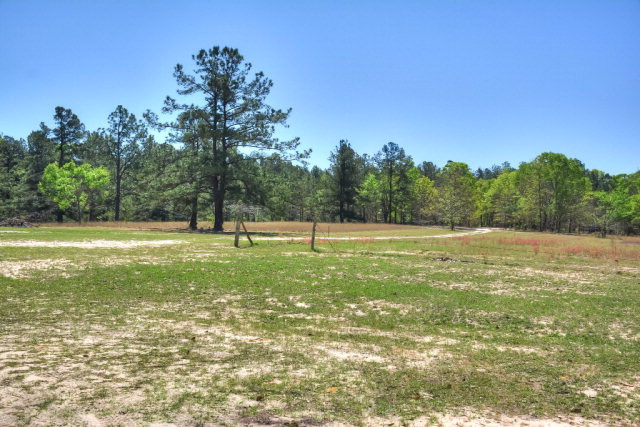 10955 Edgehill Road, Gibson, GA 30810 Listing Photo  35