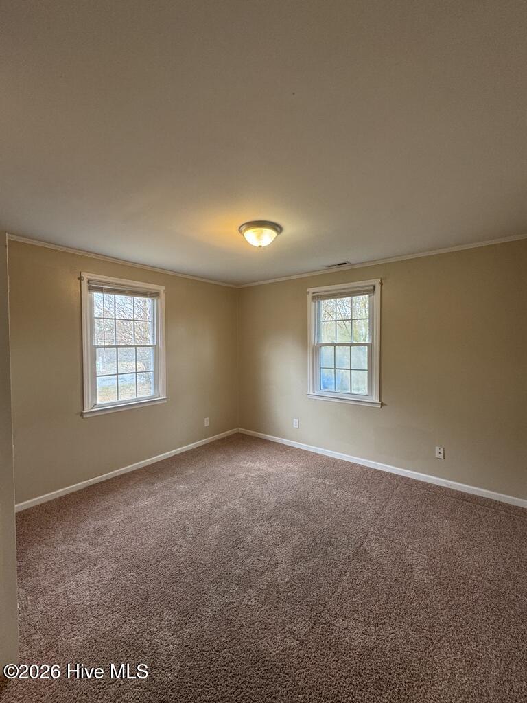 100555904 | Photo 14