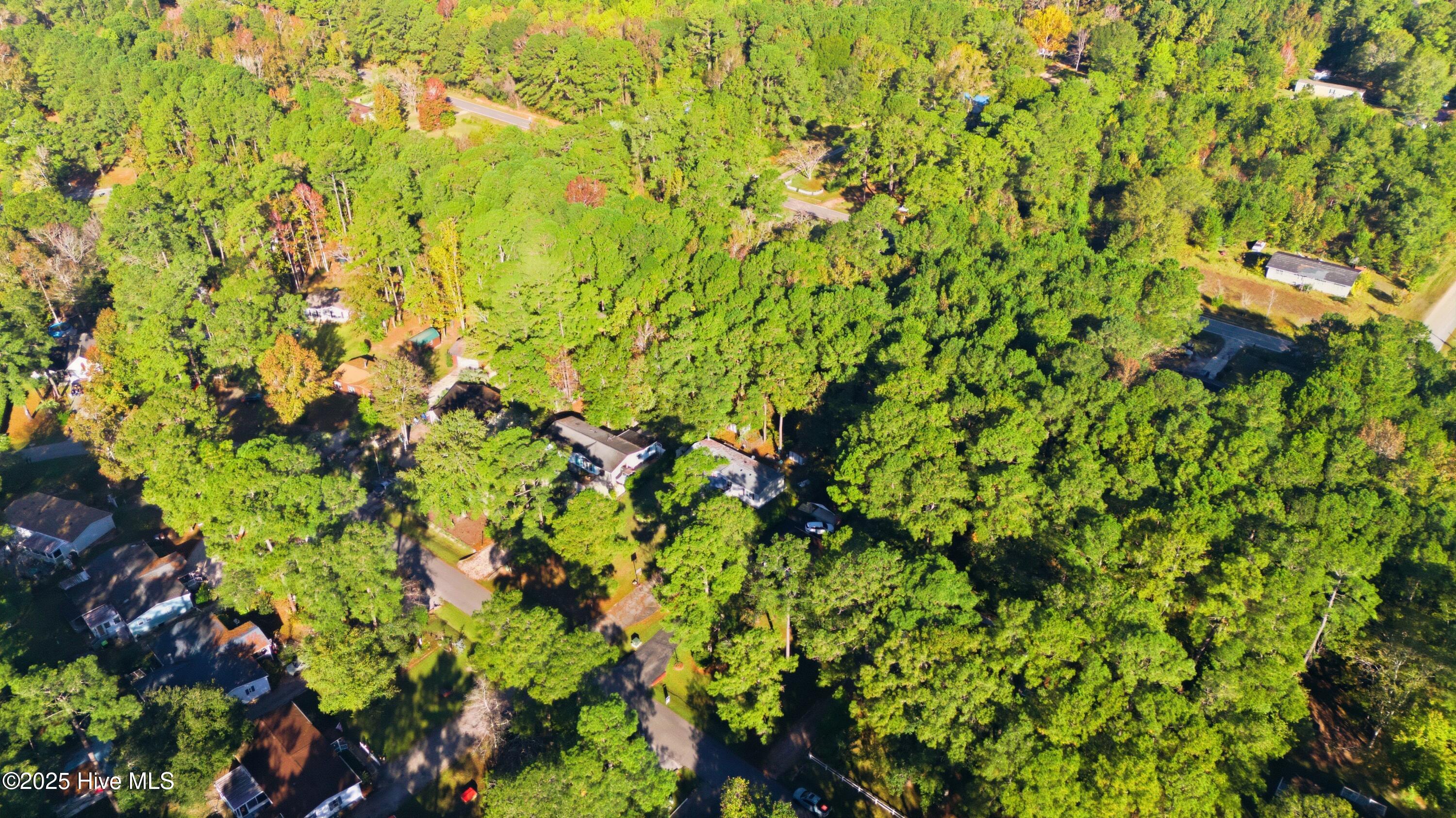 100538513 | Photo 19